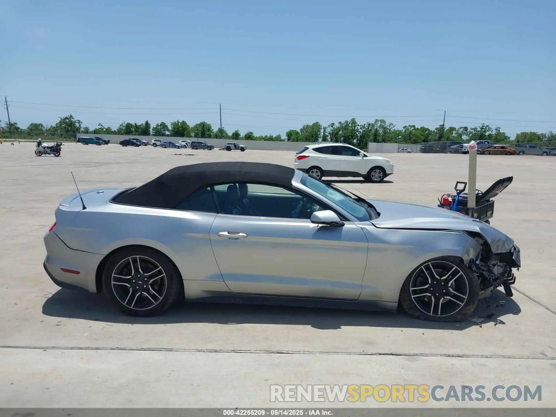 13 Photograph of a damaged car 1FATP8UHXL5111742 FORD MUSTANG 2020