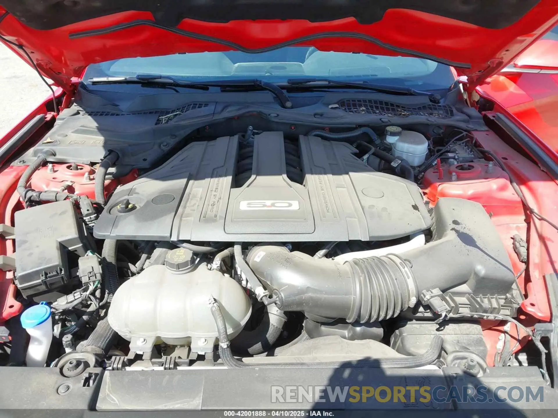 10 Photograph of a damaged car 1FA6P8CF0M5155408 FORD MUSTANG 2021
