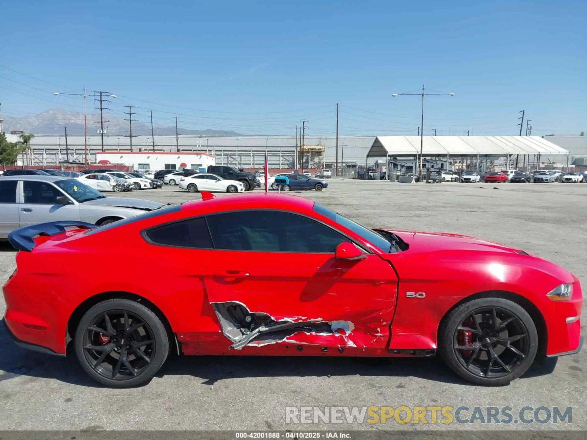 13 Photograph of a damaged car 1FA6P8CF0M5155408 FORD MUSTANG 2021