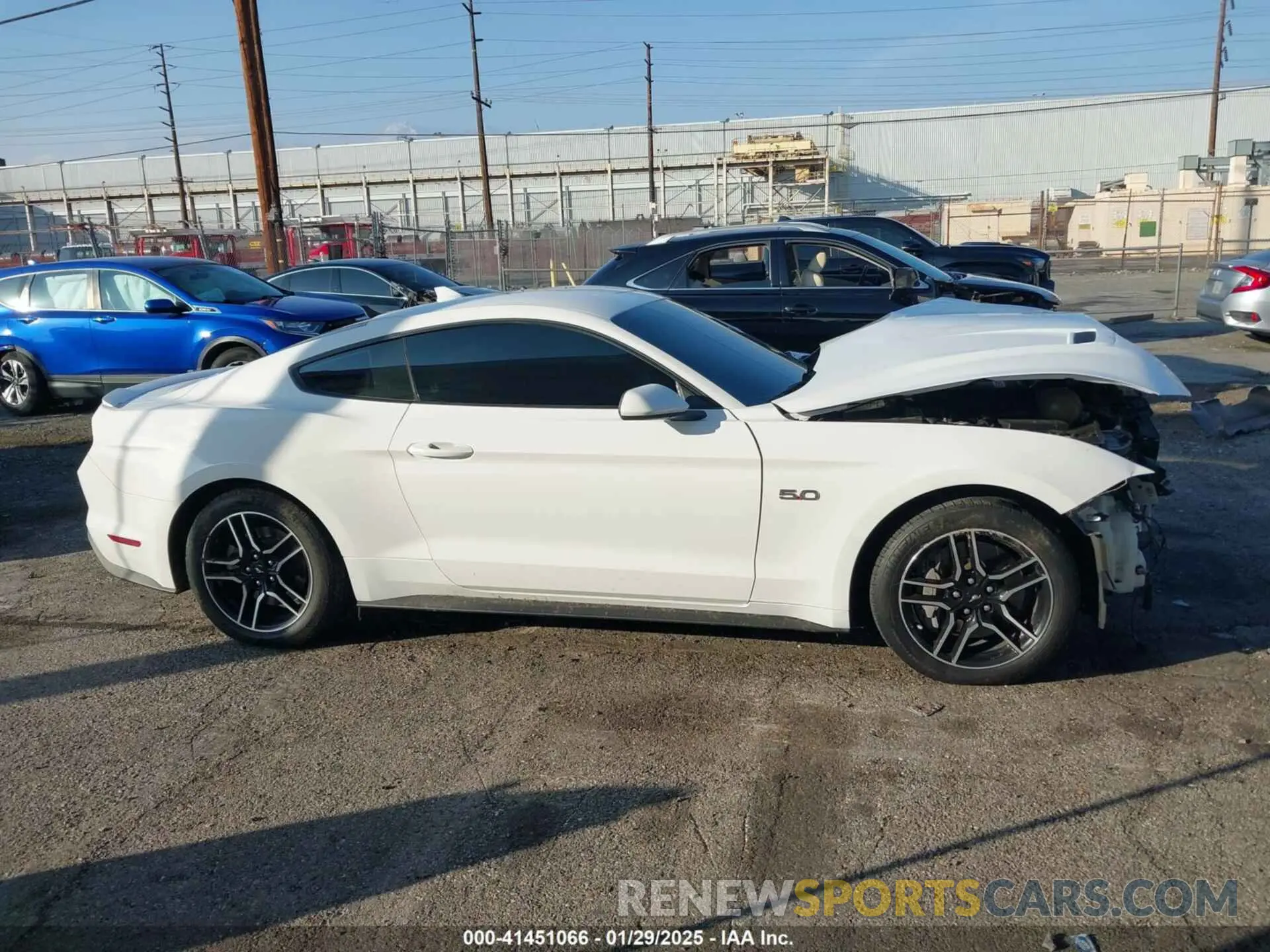 13 Photograph of a damaged car 1FA6P8CF1M5110879 FORD MUSTANG 2021
