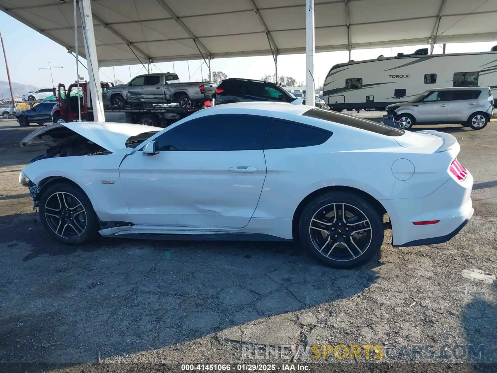 14 Photograph of a damaged car 1FA6P8CF1M5110879 FORD MUSTANG 2021