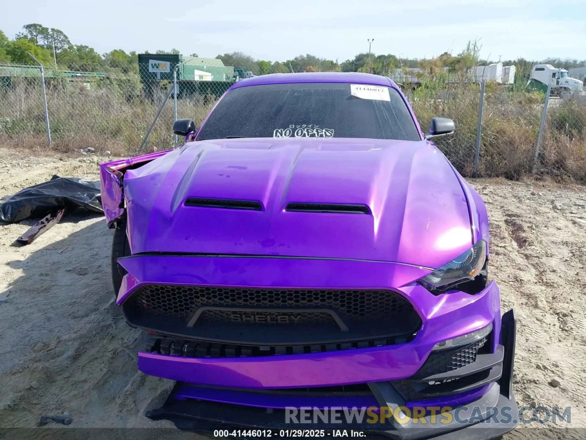 13 Photograph of a damaged car 1FA6P8CF1M5145017 FORD MUSTANG 2021