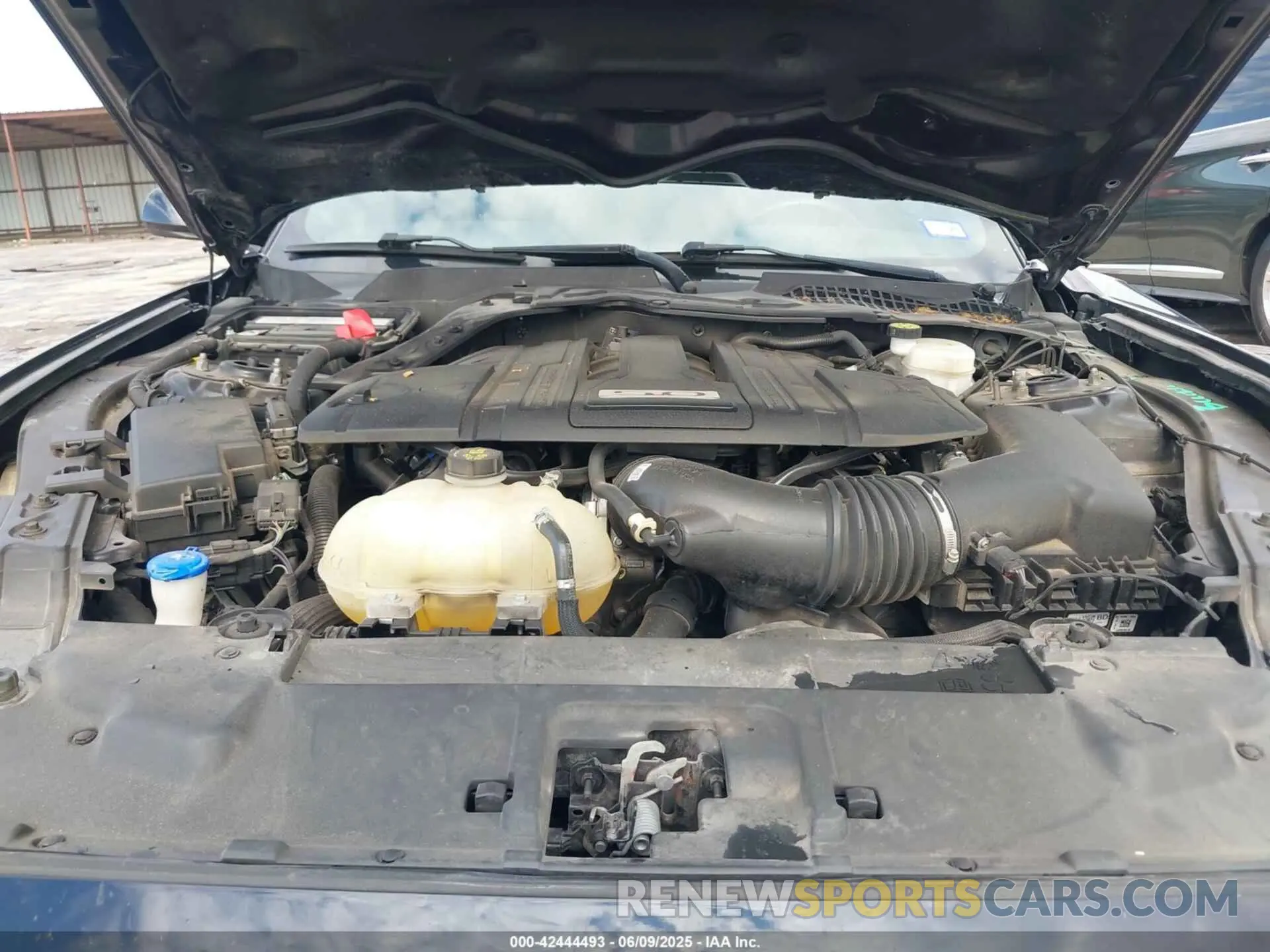 10 Photograph of a damaged car 1FA6P8CF1M5148371 FORD MUSTANG 2021