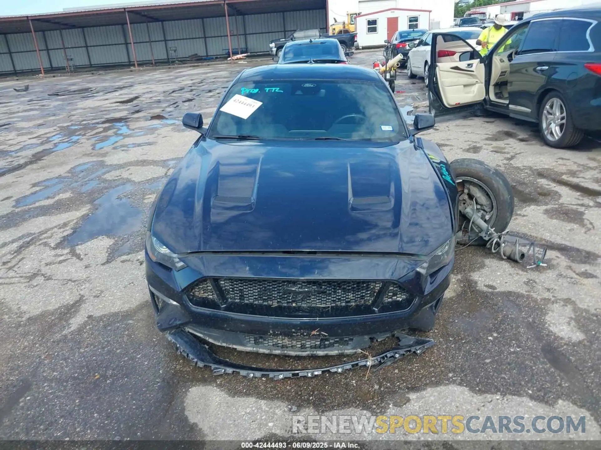 11 Photograph of a damaged car 1FA6P8CF1M5148371 FORD MUSTANG 2021