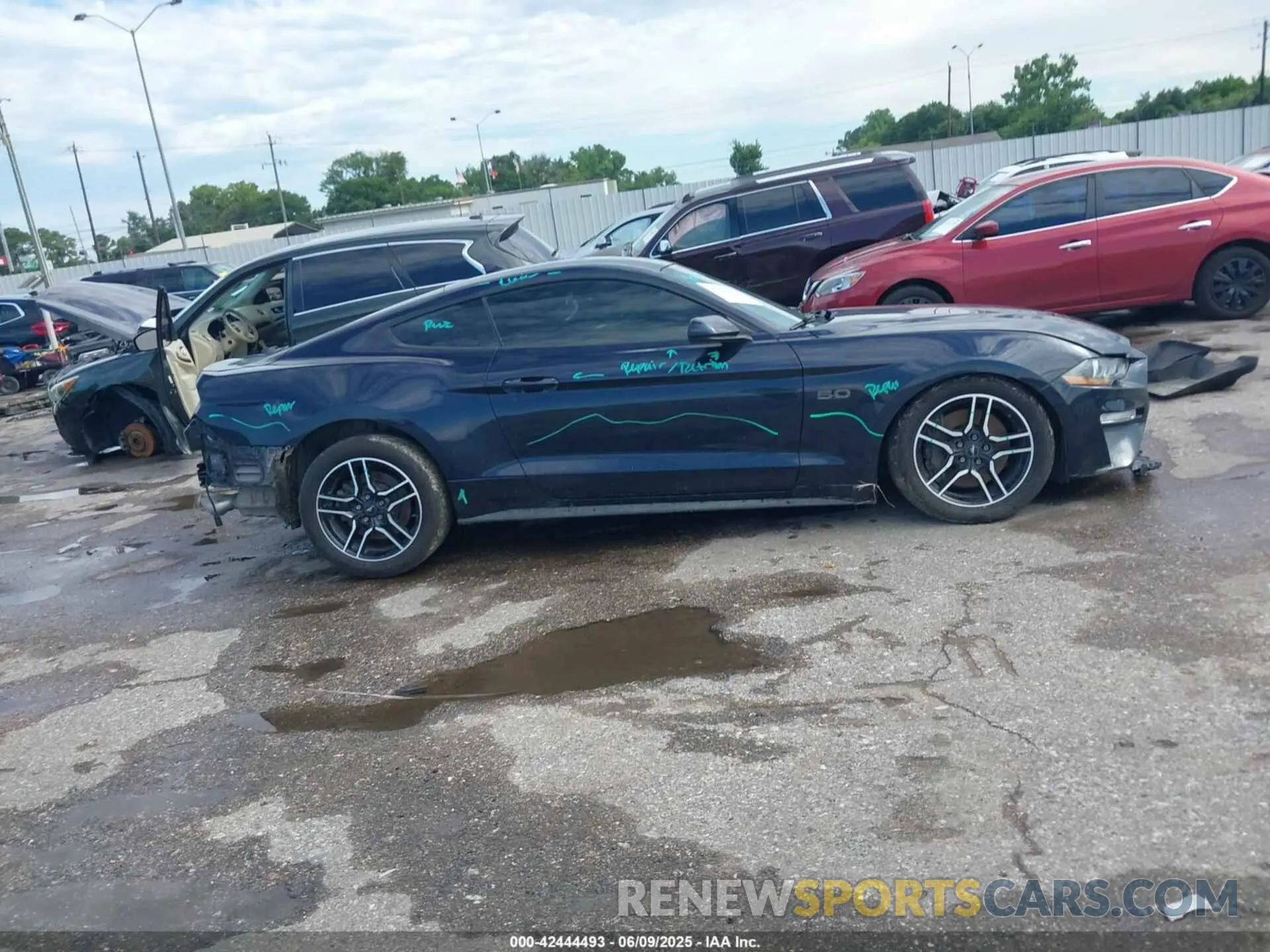 12 Photograph of a damaged car 1FA6P8CF1M5148371 FORD MUSTANG 2021