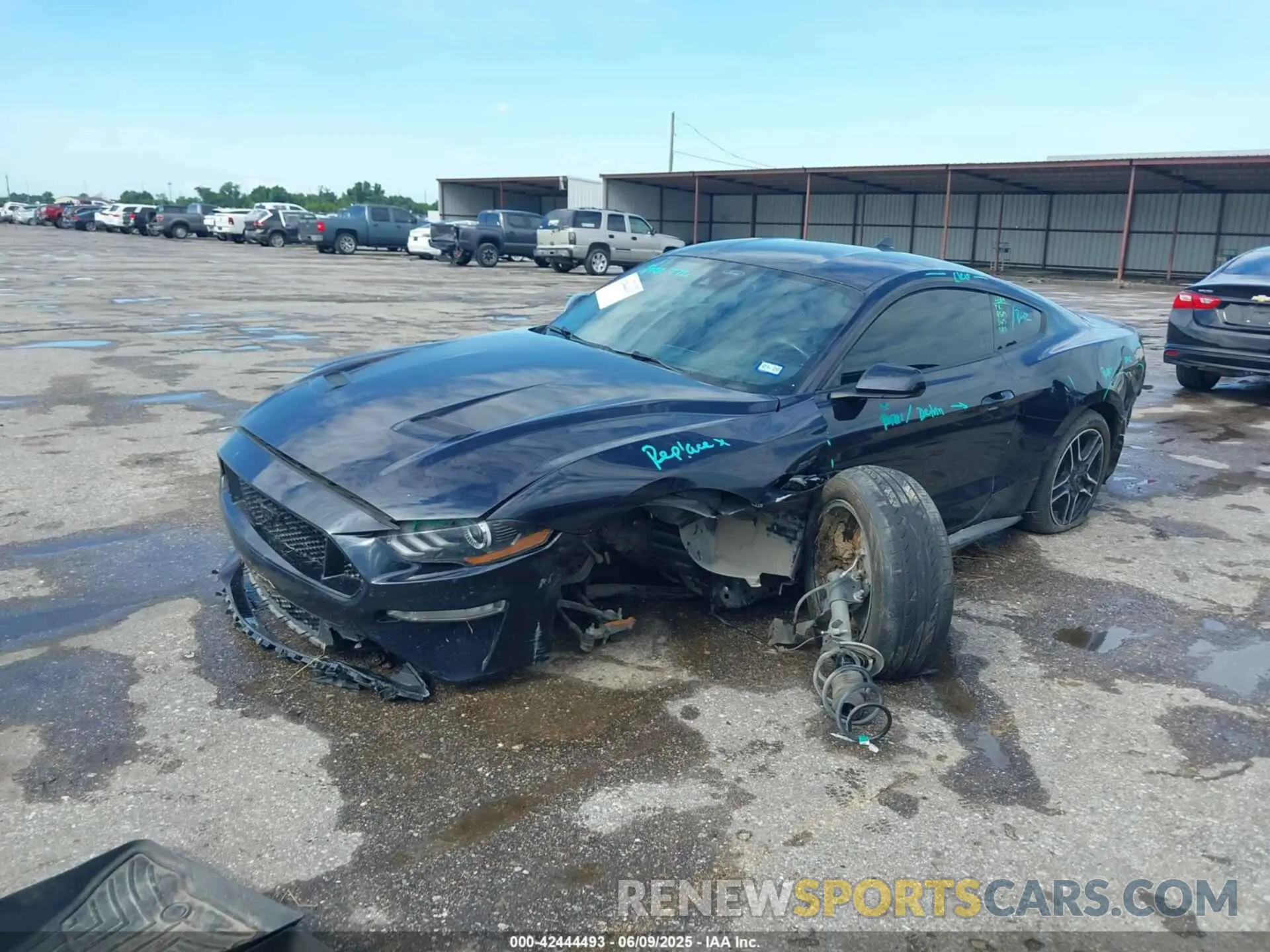 2 Photograph of a damaged car 1FA6P8CF1M5148371 FORD MUSTANG 2021