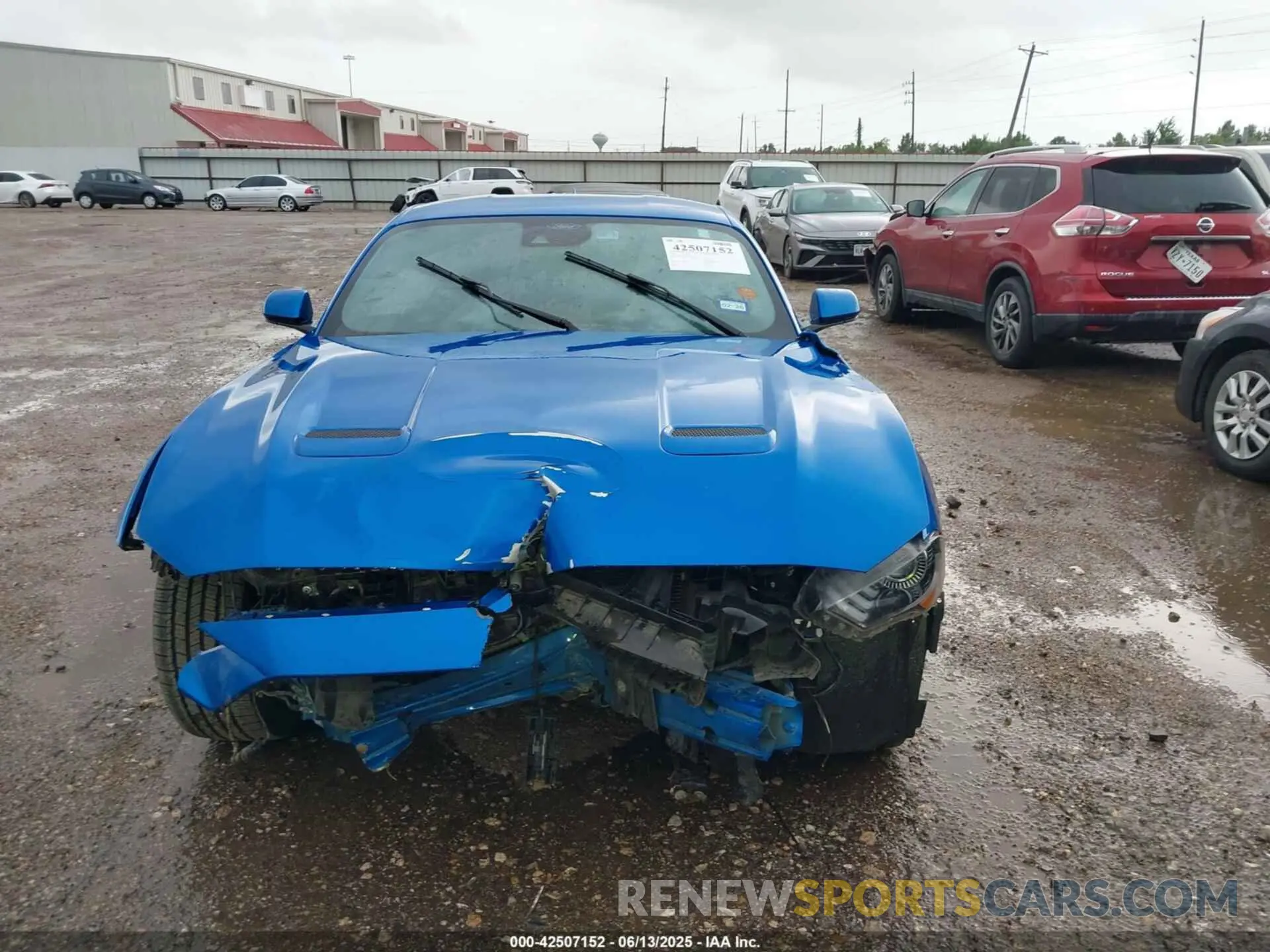 13 Photograph of a damaged car 1FA6P8CF2M5144006 FORD MUSTANG 2021