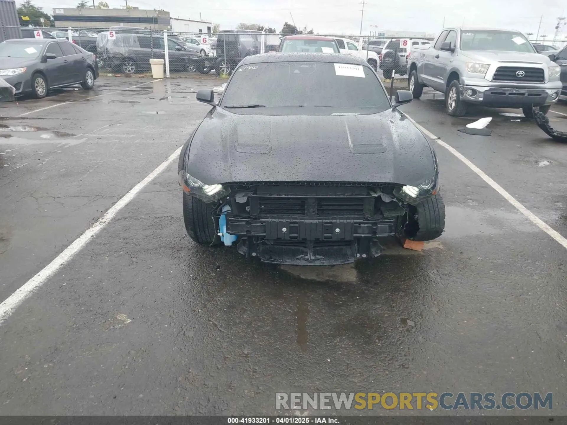 13 Photograph of a damaged car 1FA6P8CF3M5154673 FORD MUSTANG 2021
