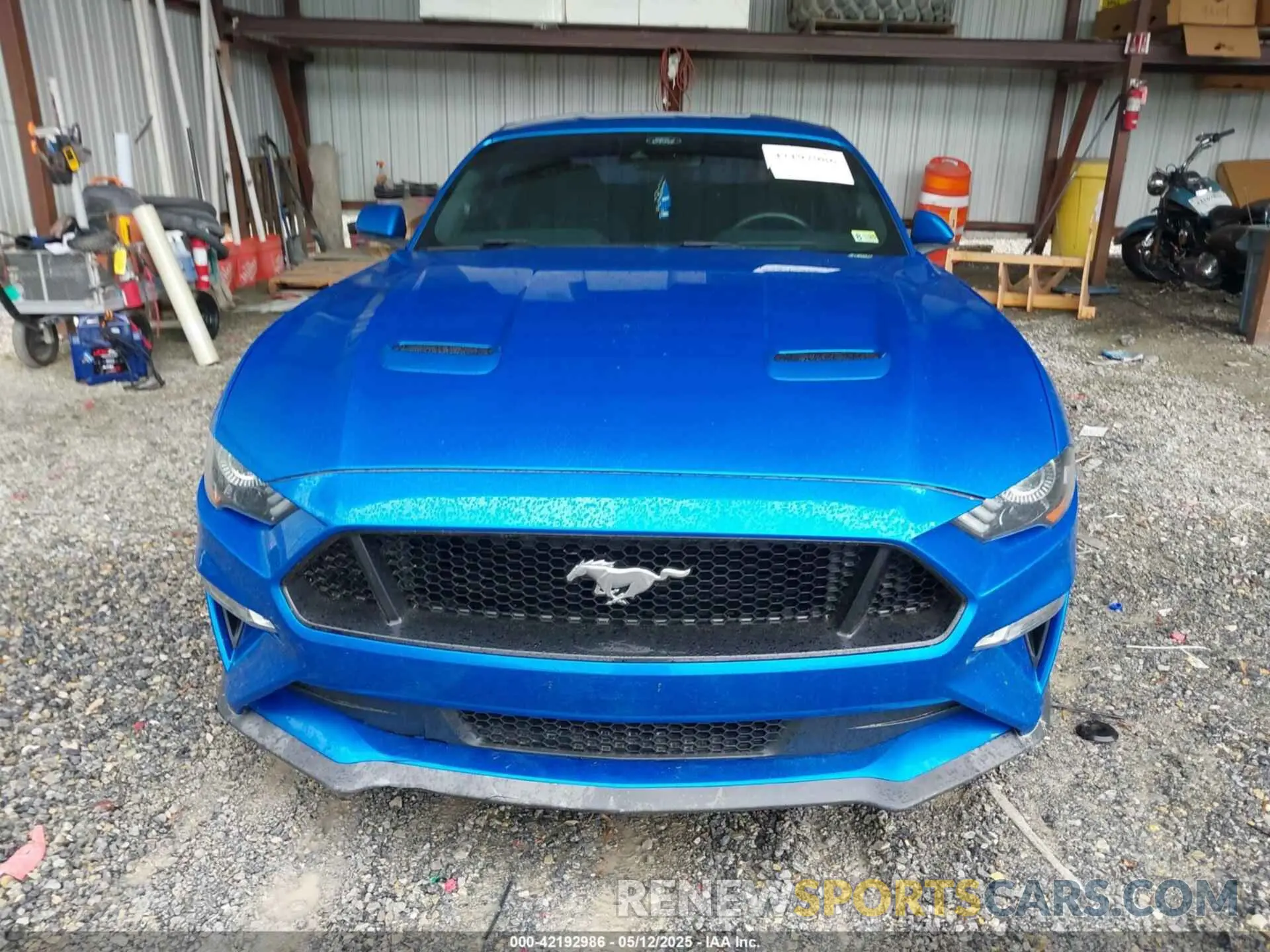 12 Photograph of a damaged car 1FA6P8CF4M5125666 FORD MUSTANG 2021