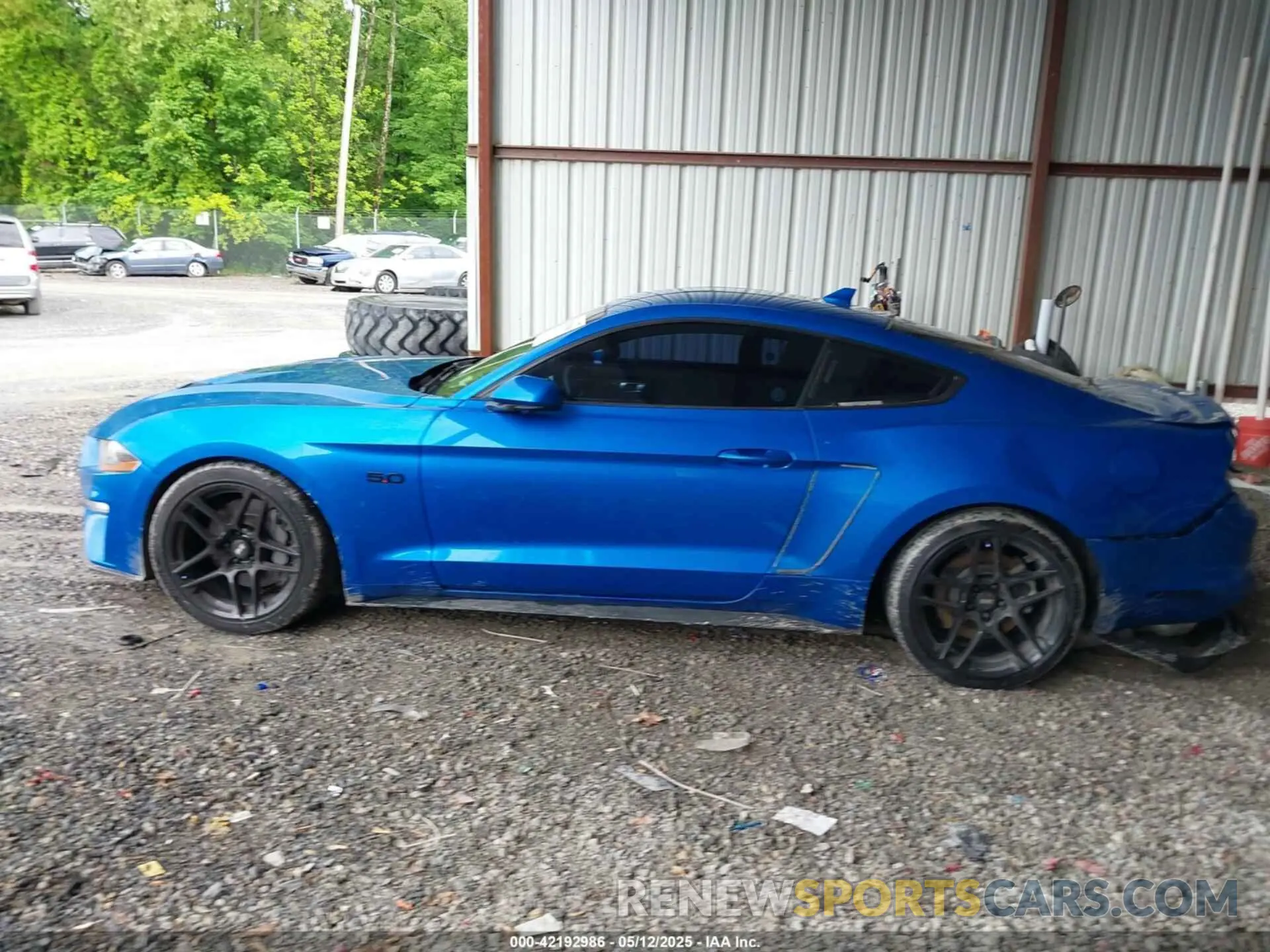 14 Photograph of a damaged car 1FA6P8CF4M5125666 FORD MUSTANG 2021