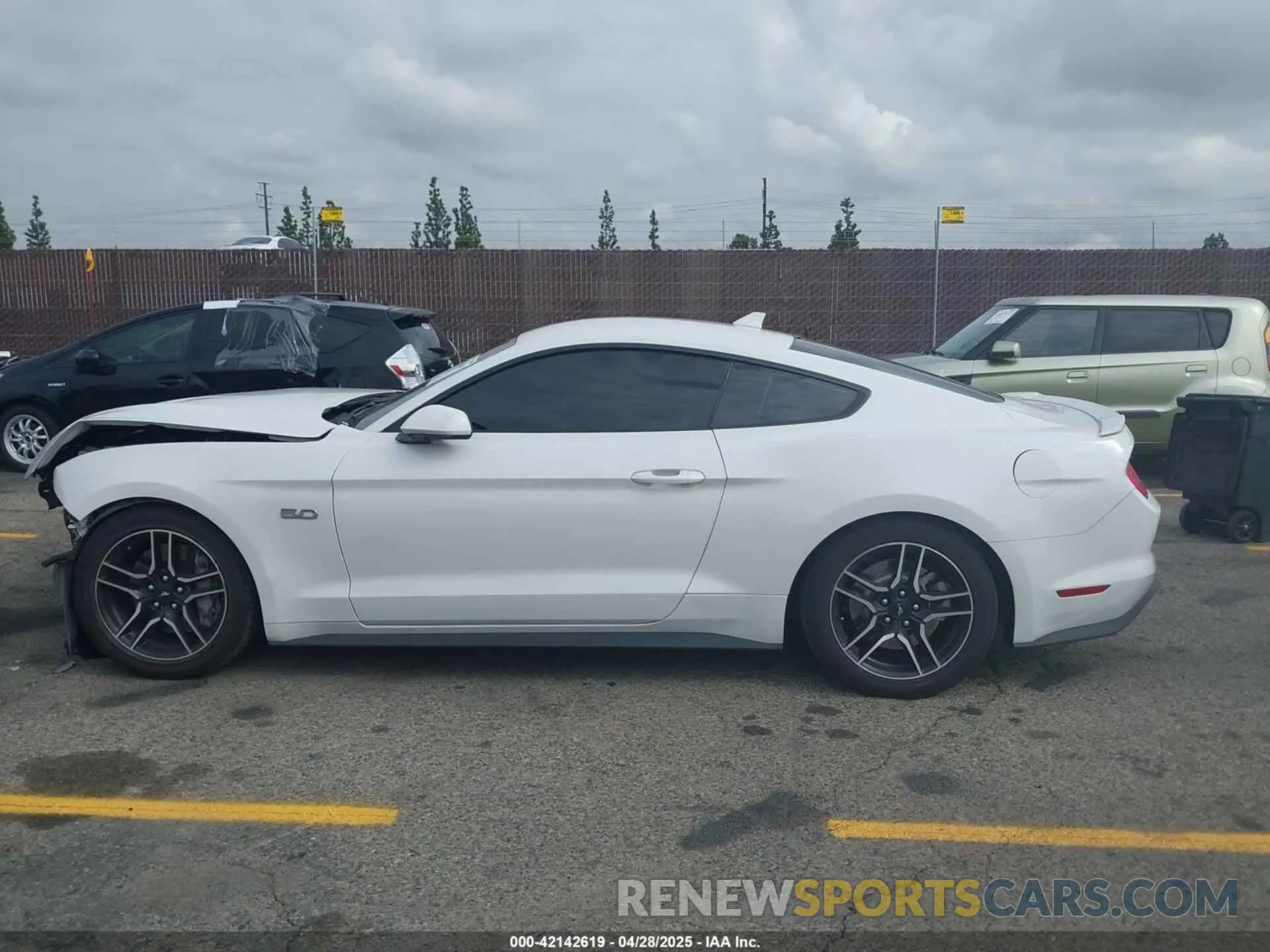 13 Photograph of a damaged car 1FA6P8CF5M5115597 FORD MUSTANG 2021