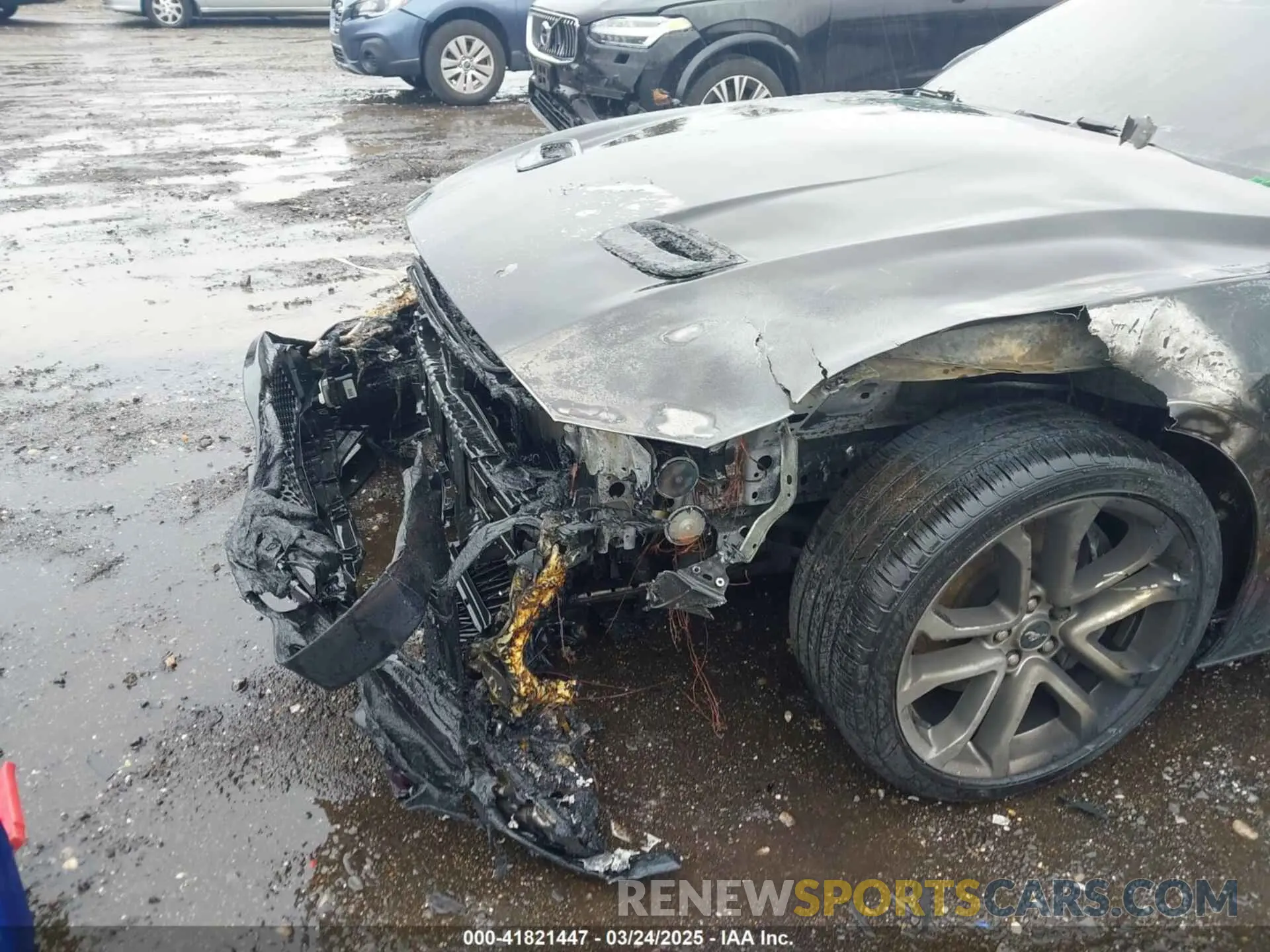 6 Photograph of a damaged car 1FA6P8CF5M5138913 FORD MUSTANG 2021
