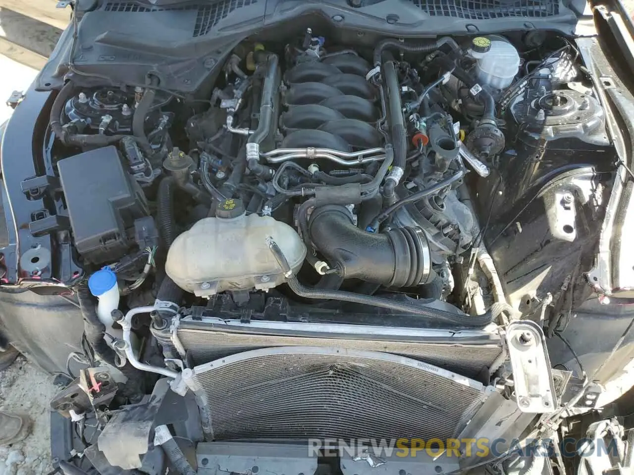 11 Photograph of a damaged car 1FA6P8CF5M5148745 FORD MUSTANG 2021