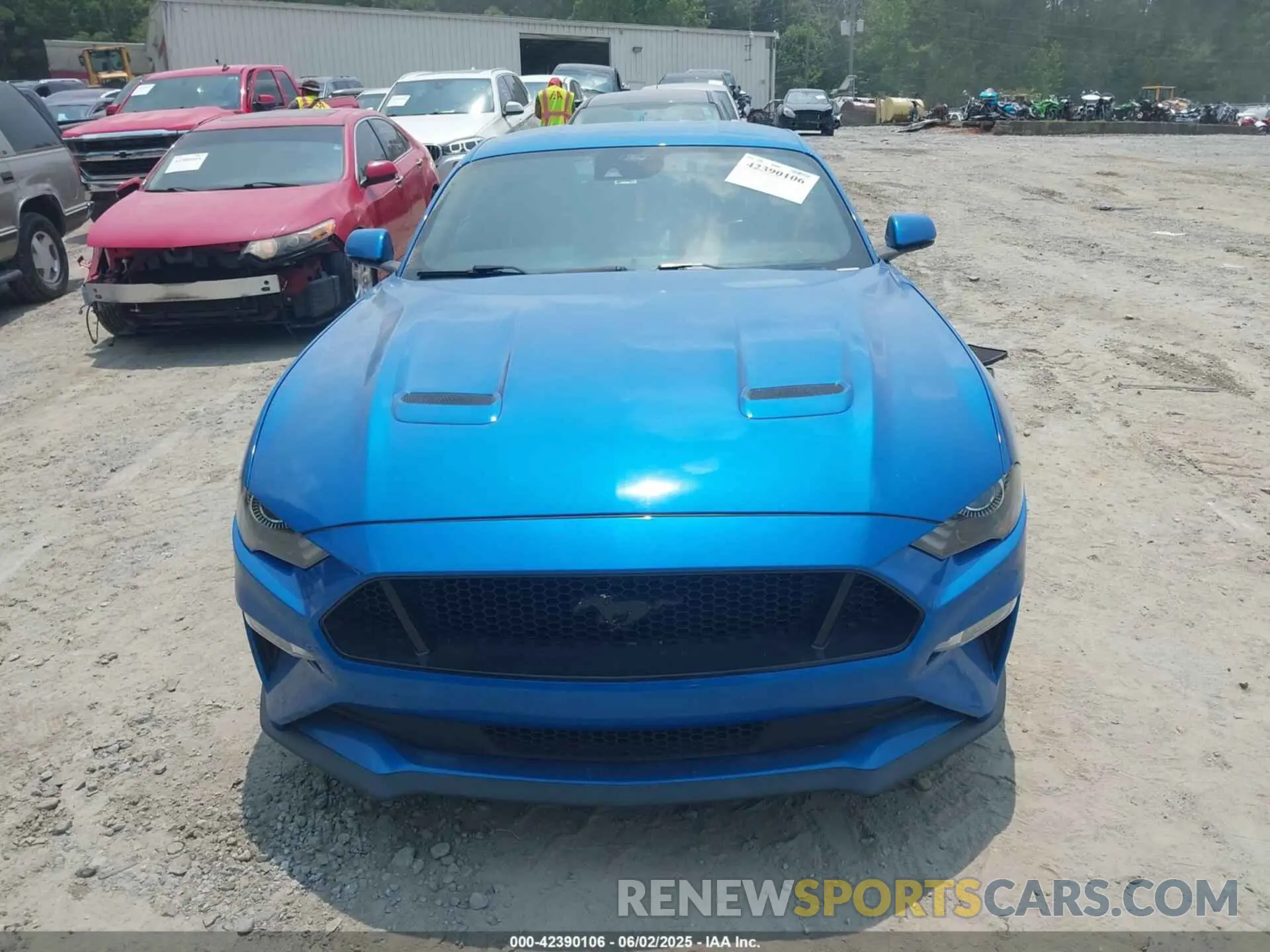 12 Photograph of a damaged car 1FA6P8CF5M5151256 FORD MUSTANG 2021