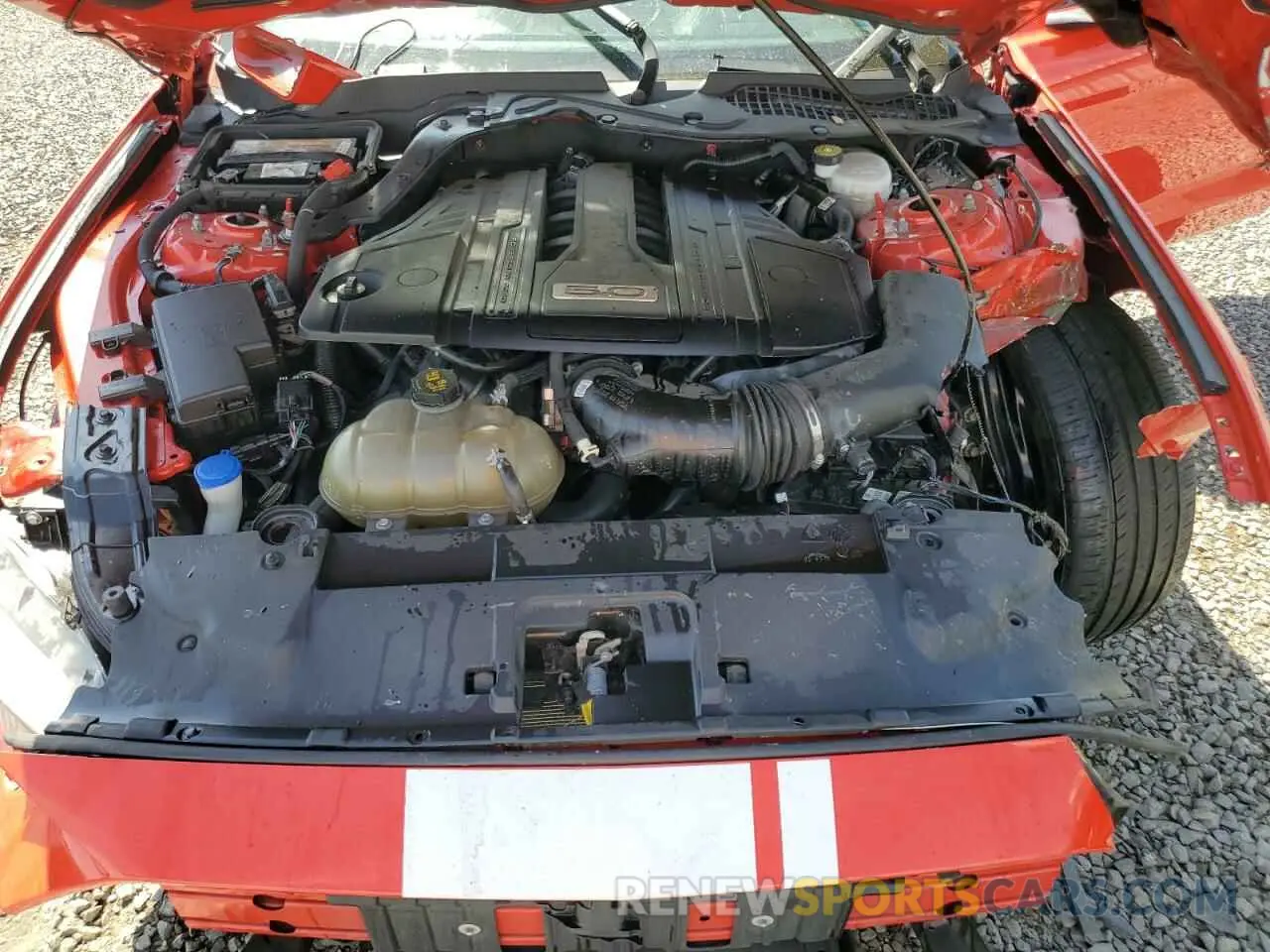 11 Photograph of a damaged car 1FA6P8CF6M5116547 FORD MUSTANG 2021