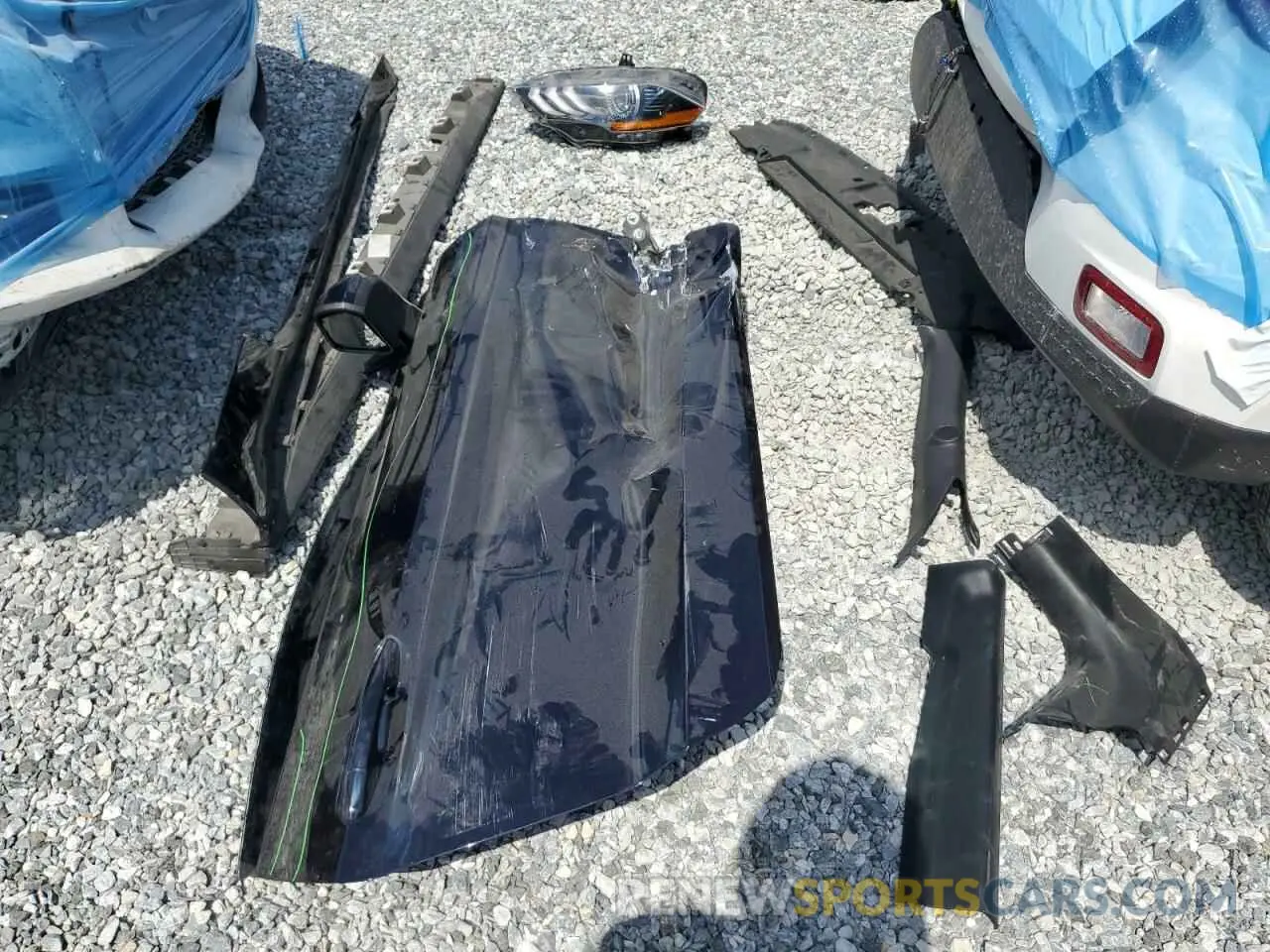 12 Photograph of a damaged car 1FA6P8CF8M5133172 FORD MUSTANG 2021