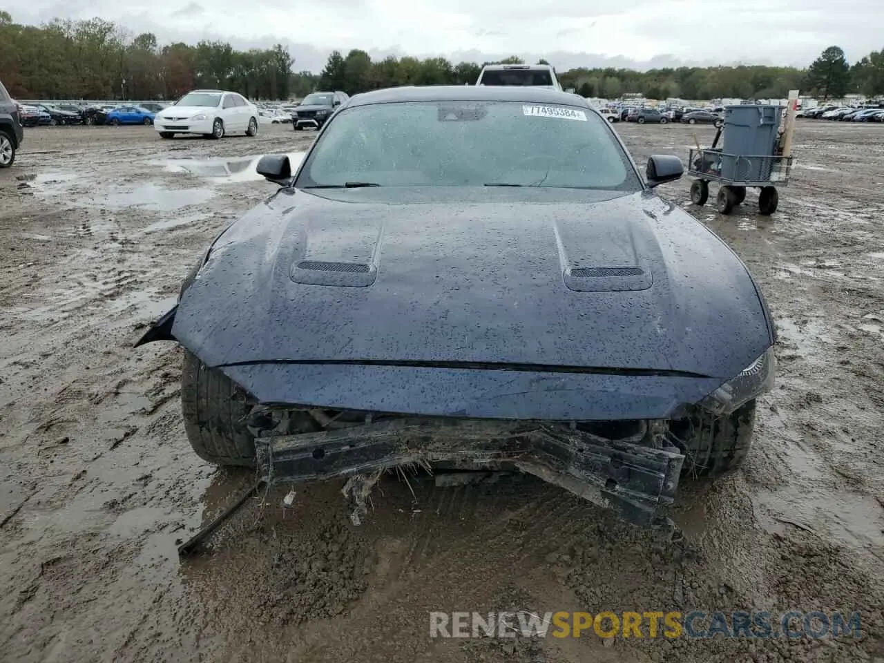 5 Photograph of a damaged car 1FA6P8CF8M5145208 FORD MUSTANG 2021