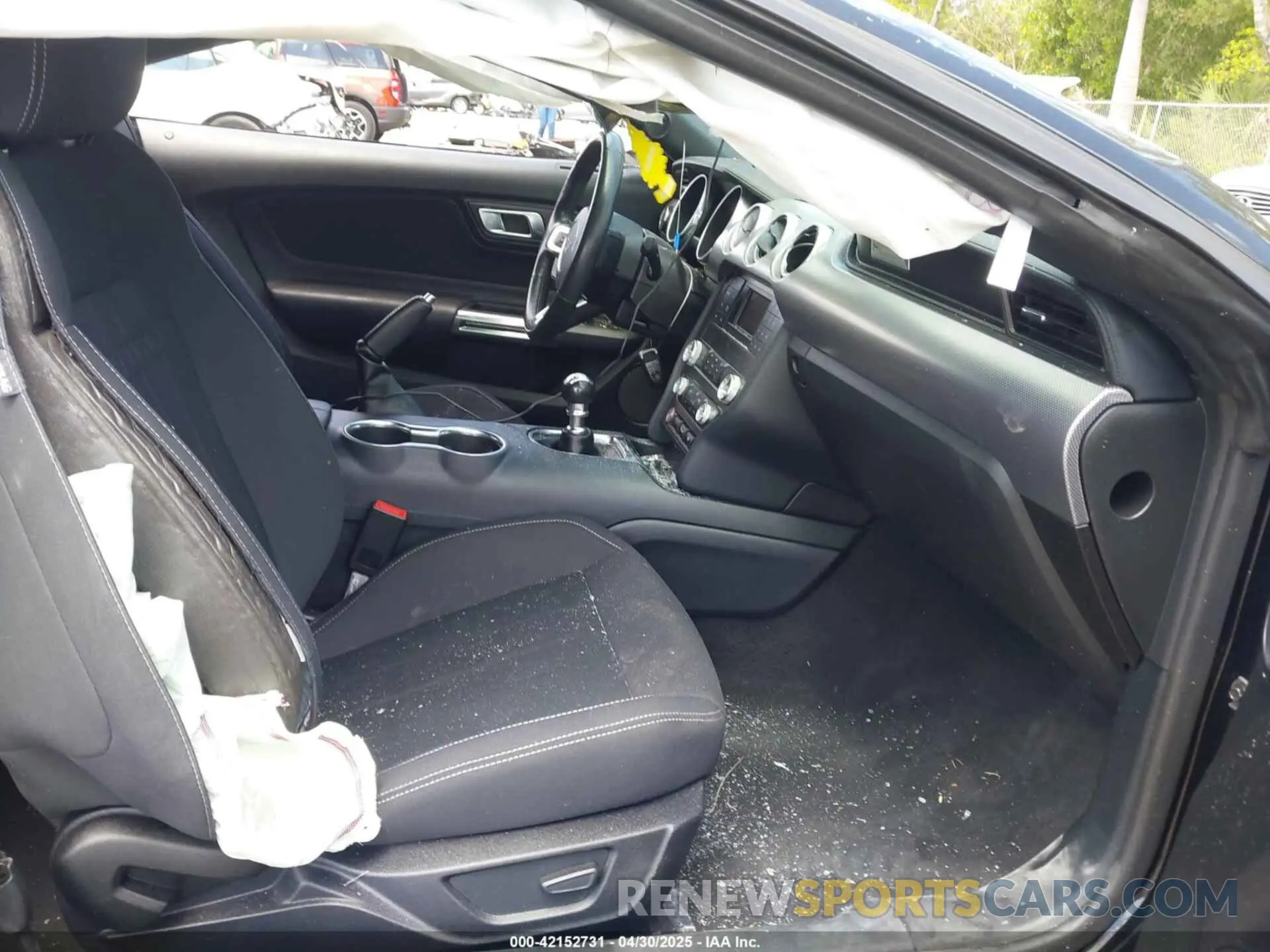 5 Photograph of a damaged car 1FA6P8CF9M5101993 FORD MUSTANG 2021