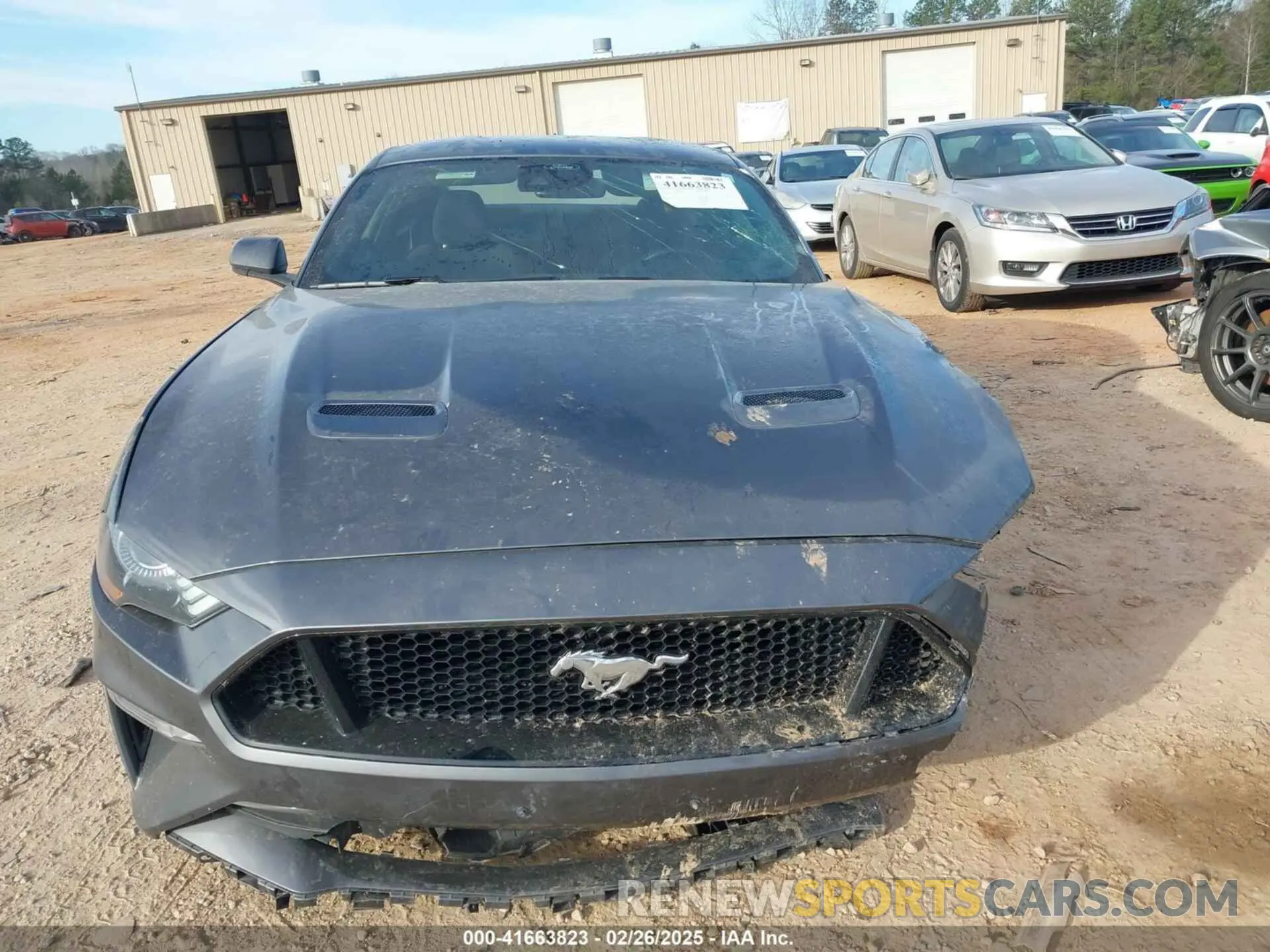 12 Photograph of a damaged car 1FA6P8CF9M5153818 FORD MUSTANG 2021