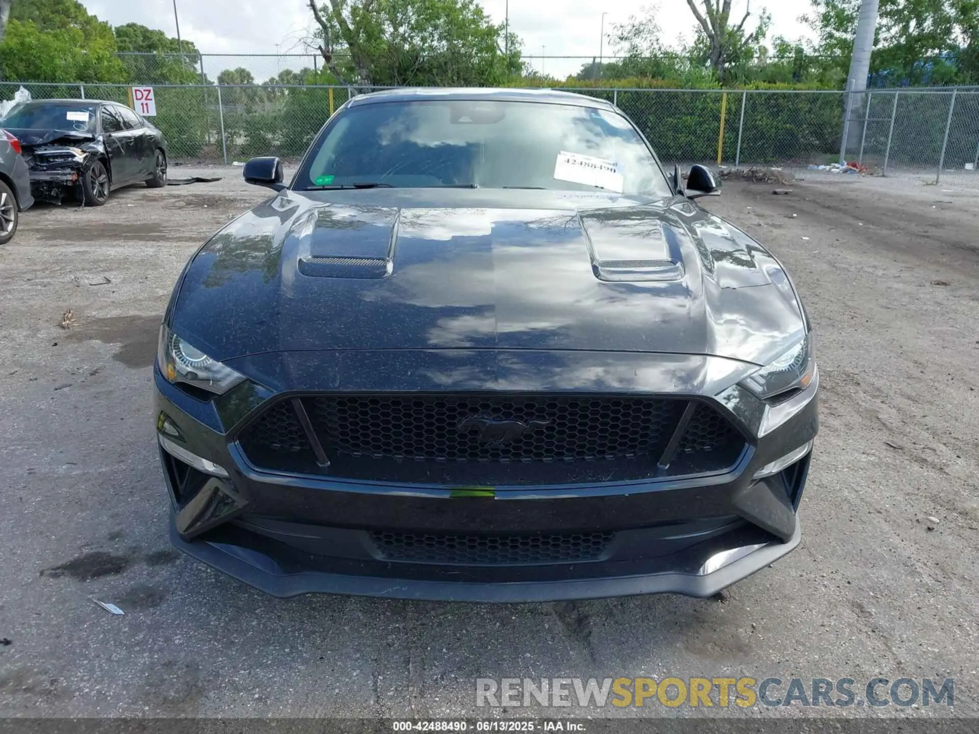12 Photograph of a damaged car 1FA6P8CFXM5147543 FORD MUSTANG 2021
