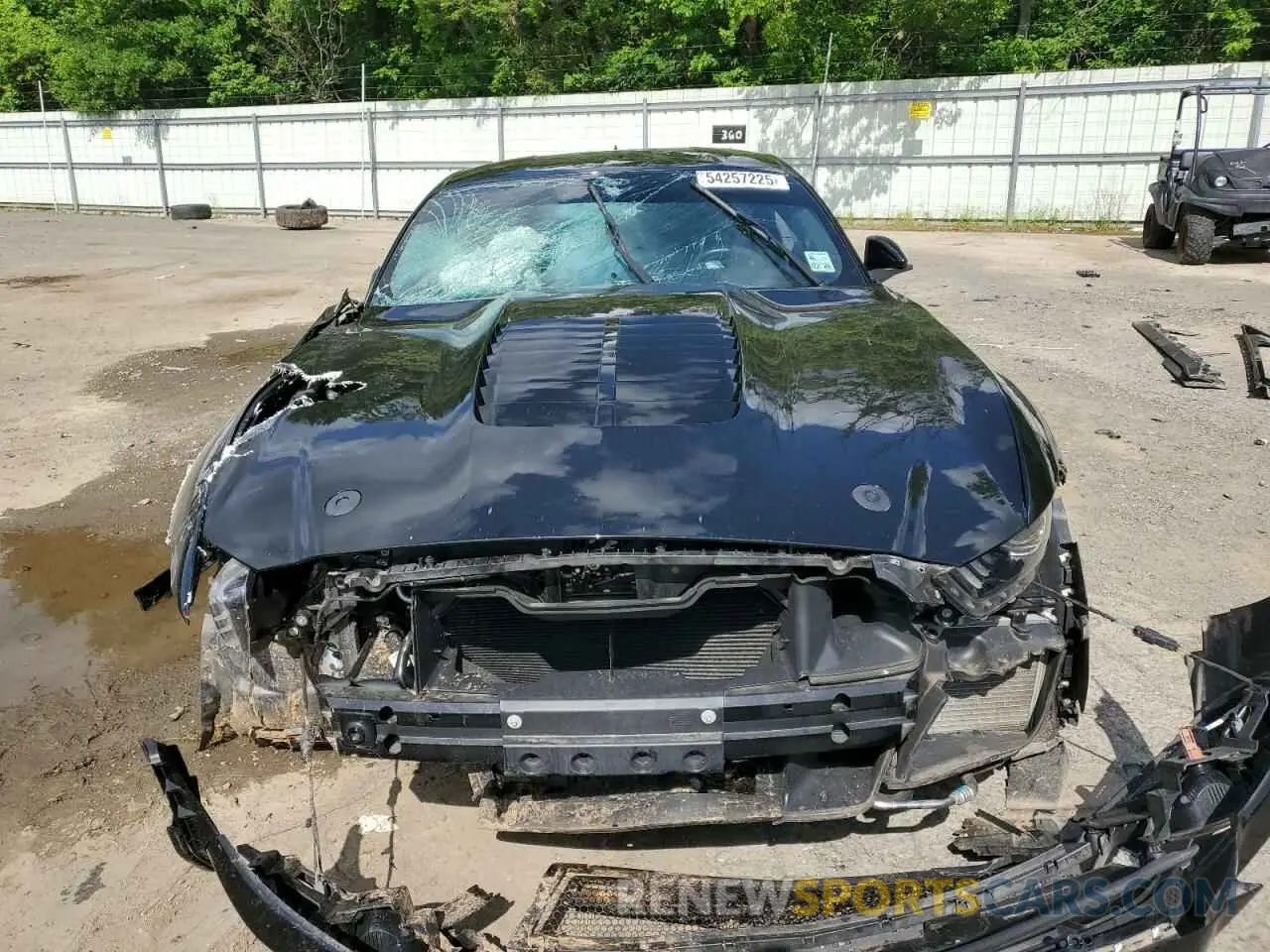 5 Photograph of a damaged car 1FA6P8SJ0M5503102 FORD MUSTANG 2021