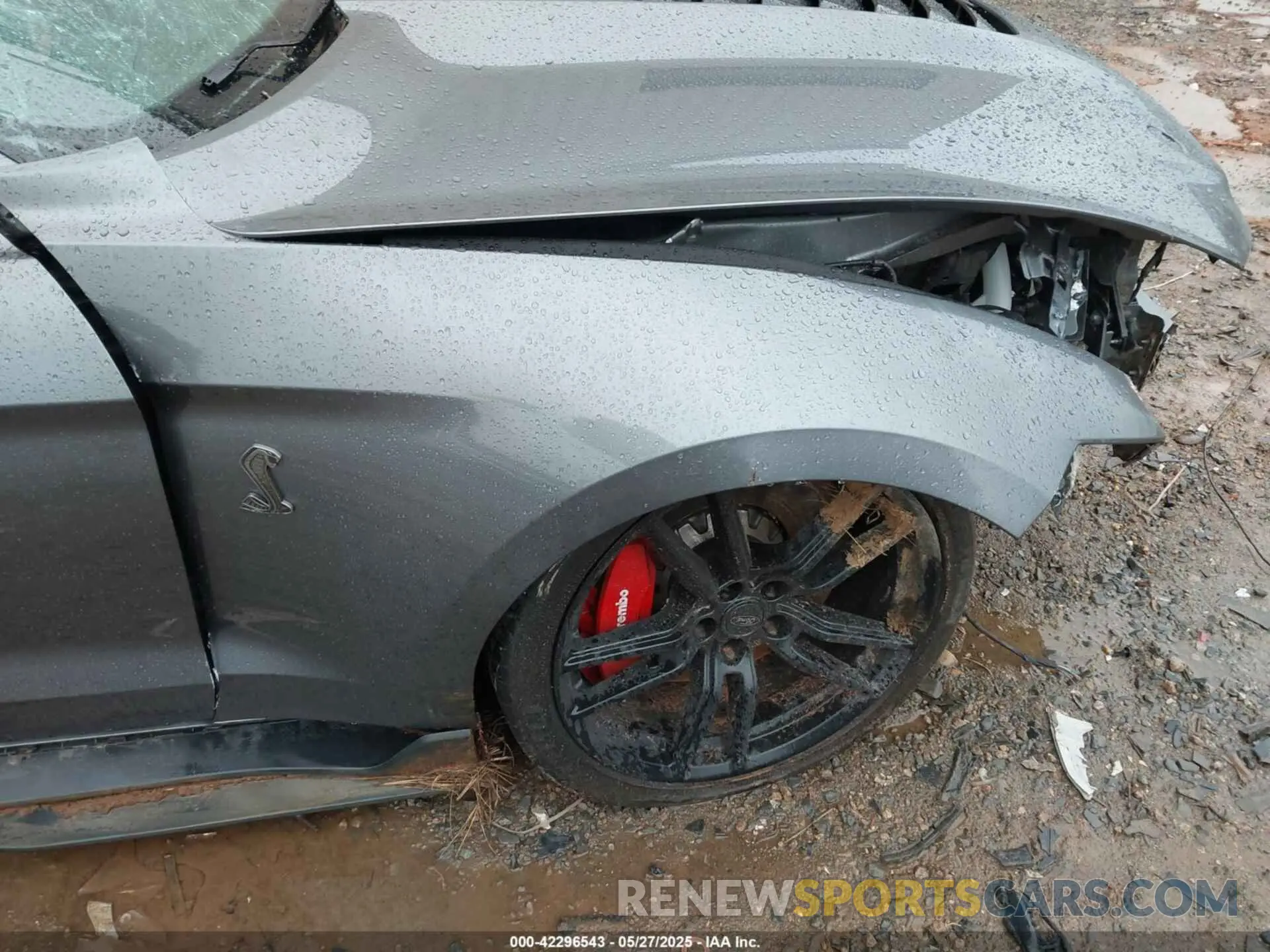 11 Photograph of a damaged car 1FA6P8SJ0M5504136 FORD MUSTANG 2021