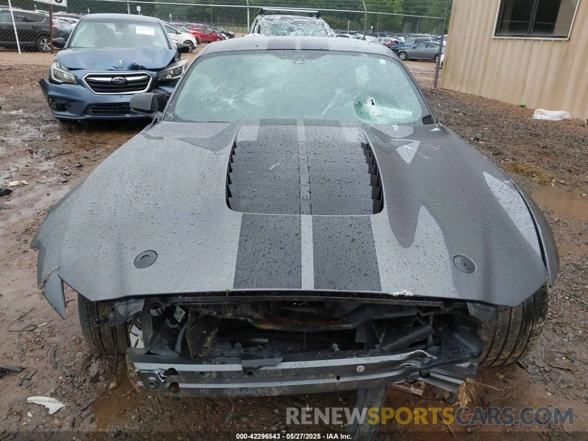 12 Photograph of a damaged car 1FA6P8SJ0M5504136 FORD MUSTANG 2021