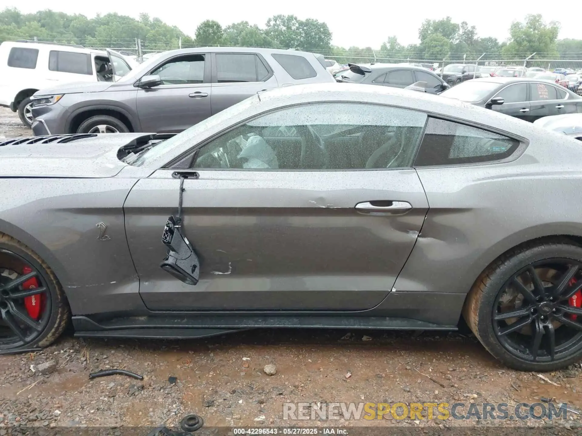 14 Photograph of a damaged car 1FA6P8SJ0M5504136 FORD MUSTANG 2021