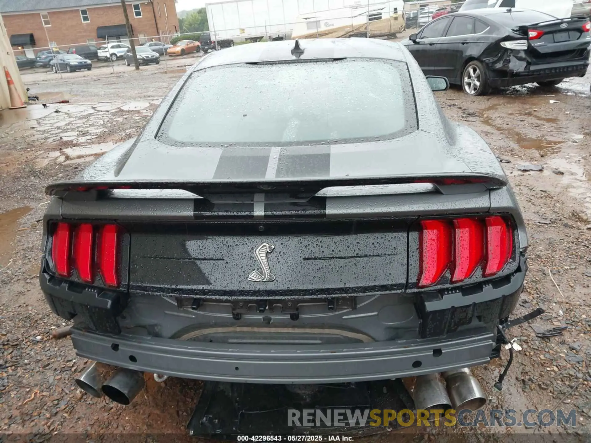 16 Photograph of a damaged car 1FA6P8SJ0M5504136 FORD MUSTANG 2021