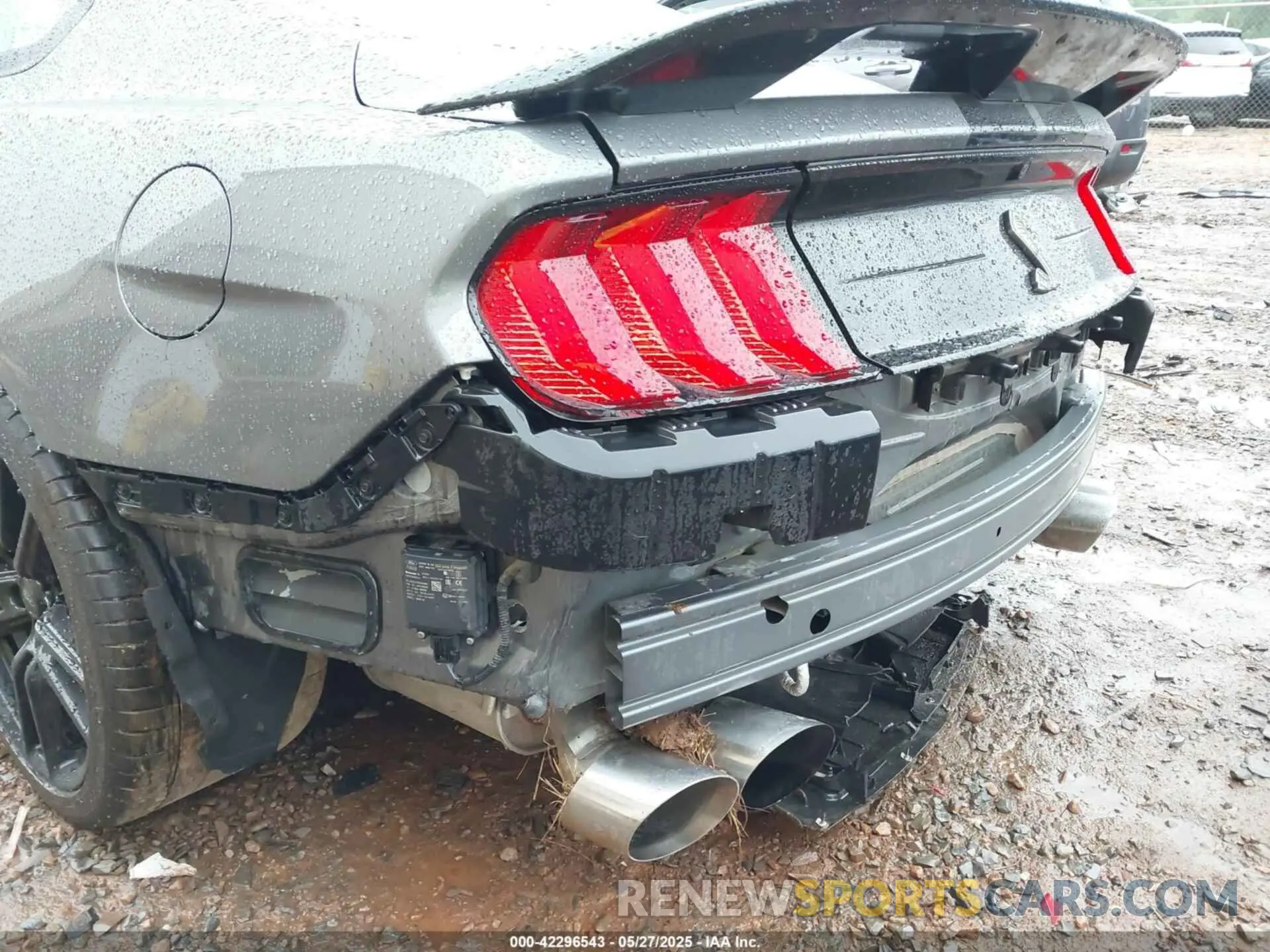 19 Photograph of a damaged car 1FA6P8SJ0M5504136 FORD MUSTANG 2021