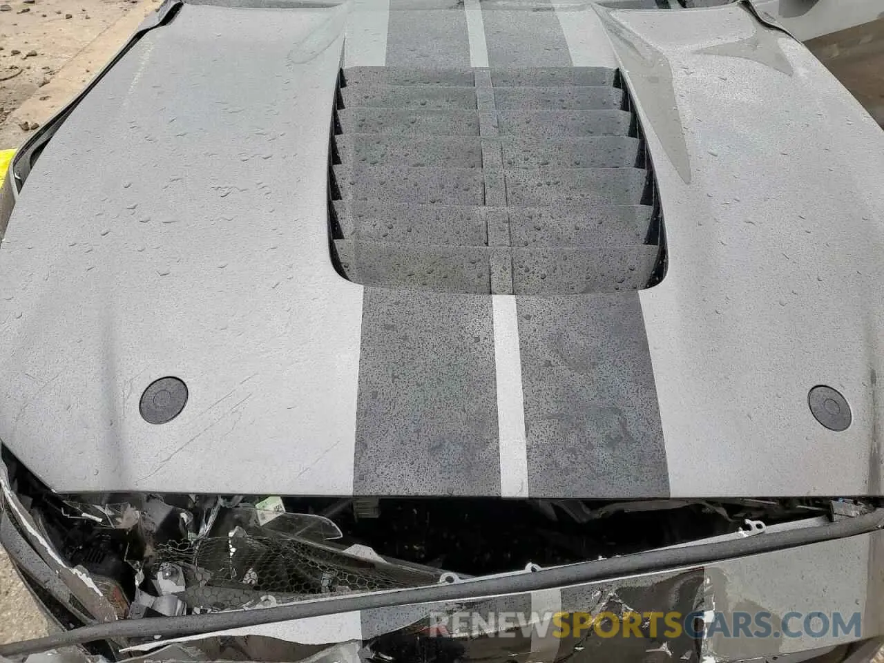 11 Photograph of a damaged car 1FA6P8SJ5M5503662 FORD MUSTANG 2021