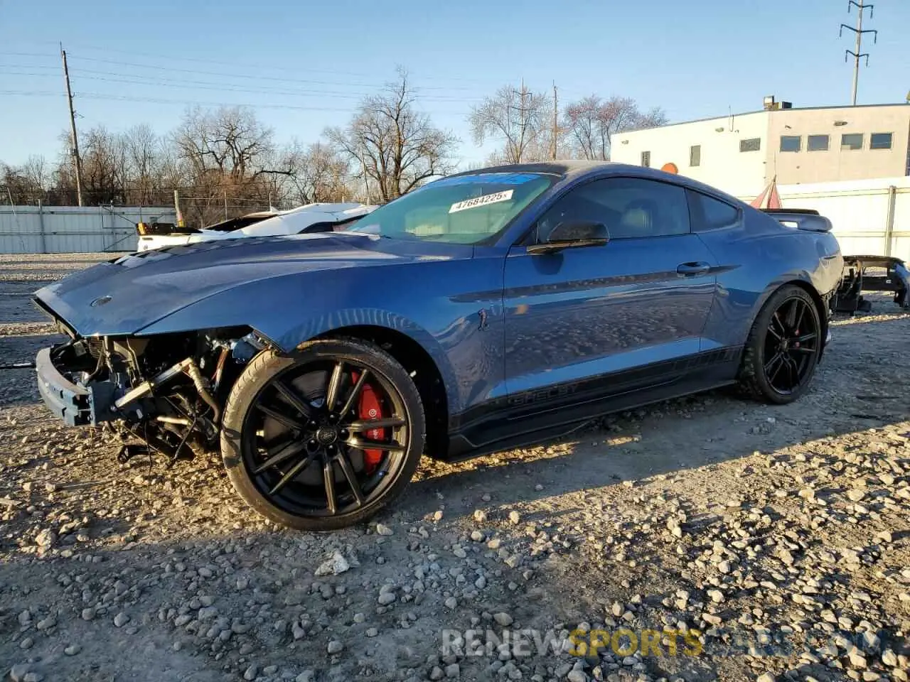 1 Photograph of a damaged car 1FA6P8SJ8M5500108 FORD MUSTANG 2021
