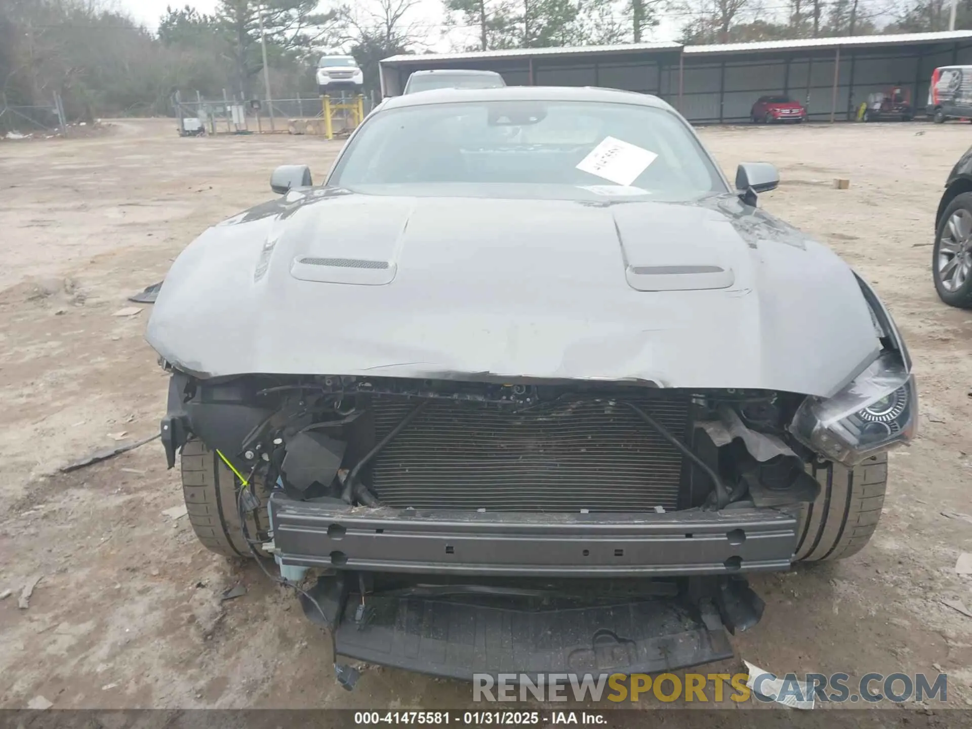 13 Photograph of a damaged car 1FA6P8TD8M5101305 FORD MUSTANG 2021