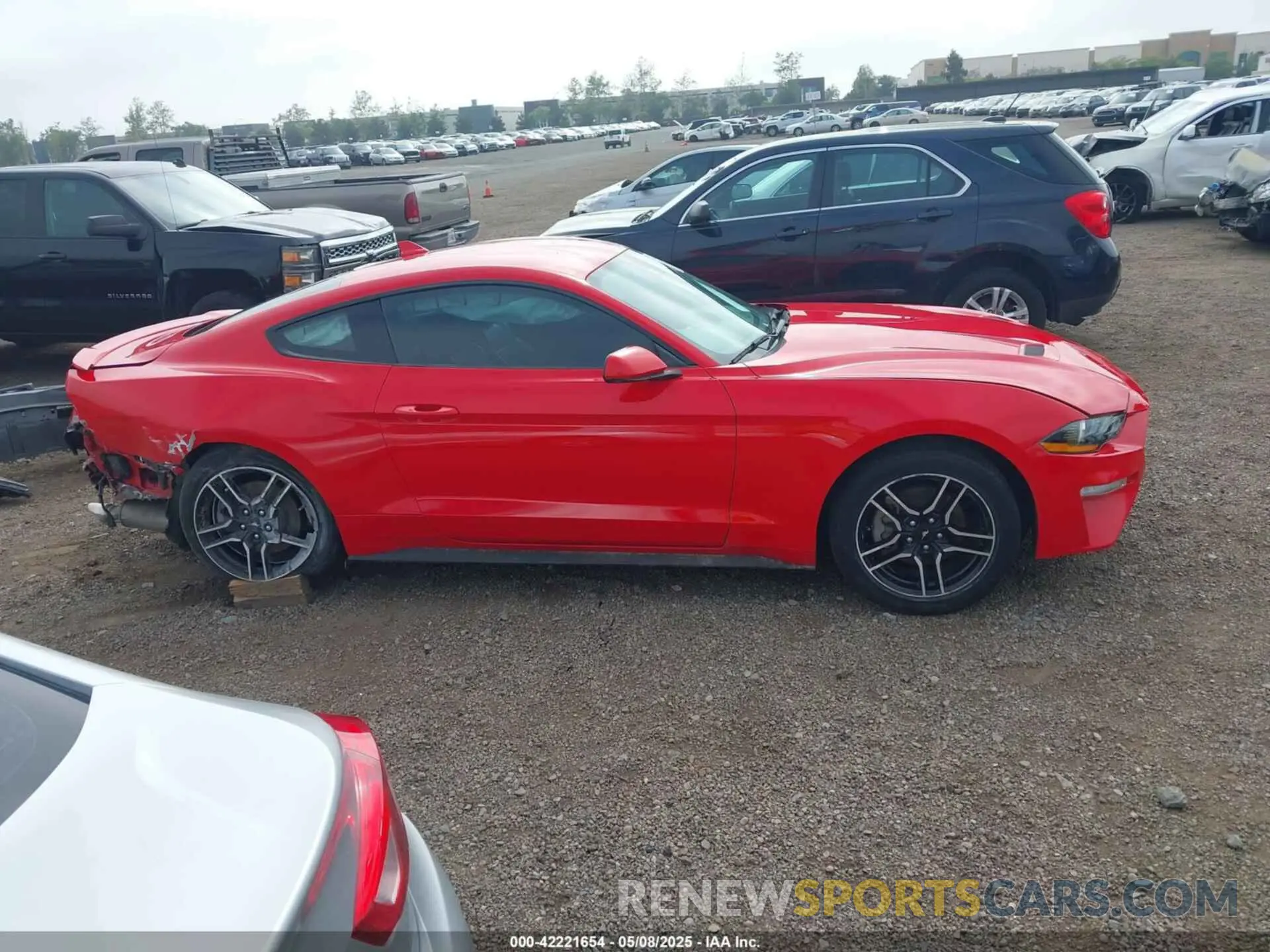 14 Photograph of a damaged car 1FA6P8TH0M5115847 FORD MUSTANG 2021