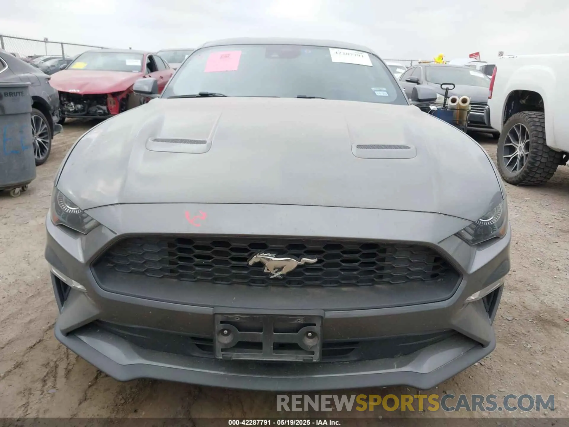 12 Photograph of a damaged car 1FA6P8TH0M5115864 FORD MUSTANG 2021