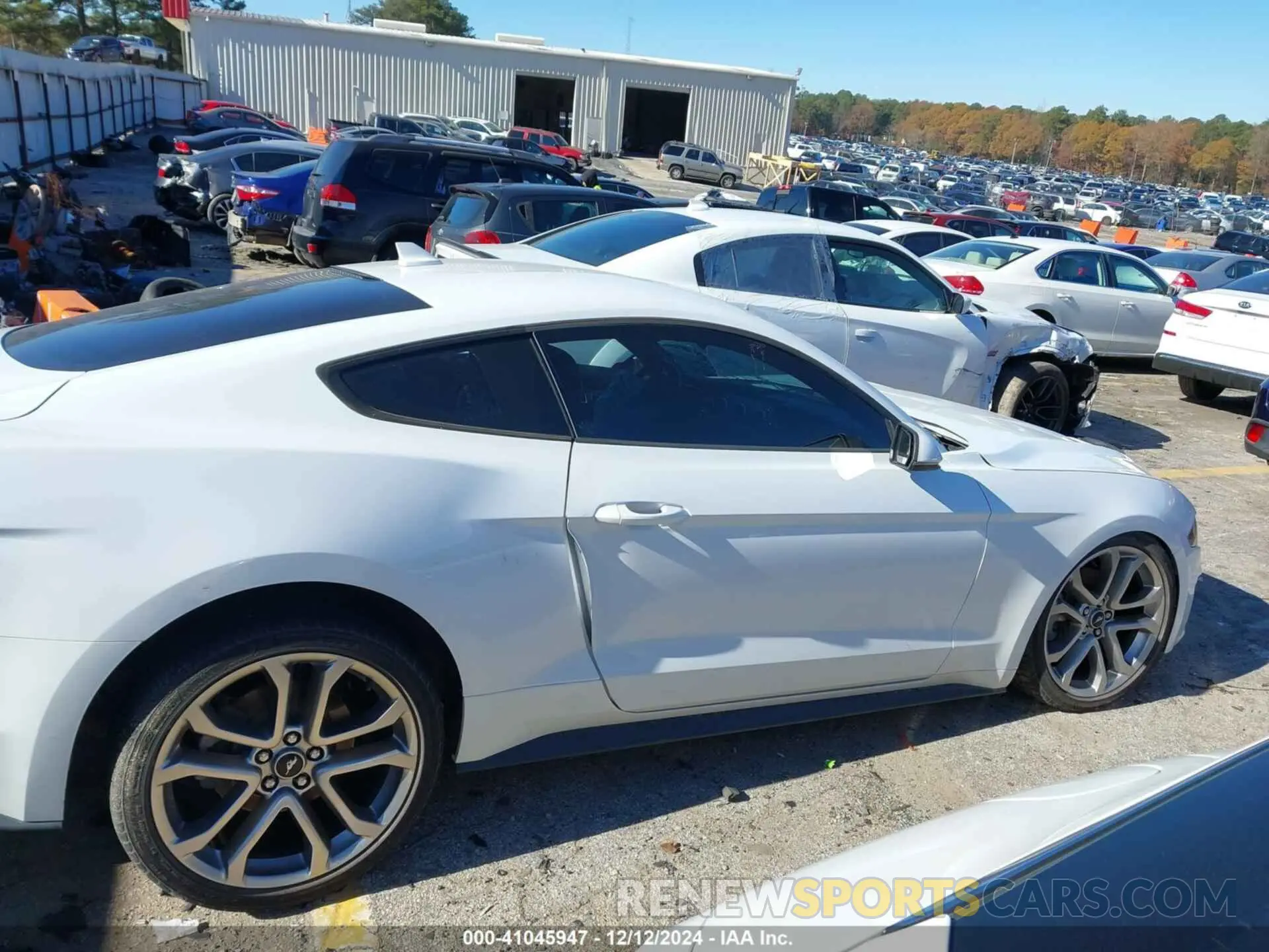 13 Photograph of a damaged car 1FA6P8TH0M5158309 FORD MUSTANG 2021