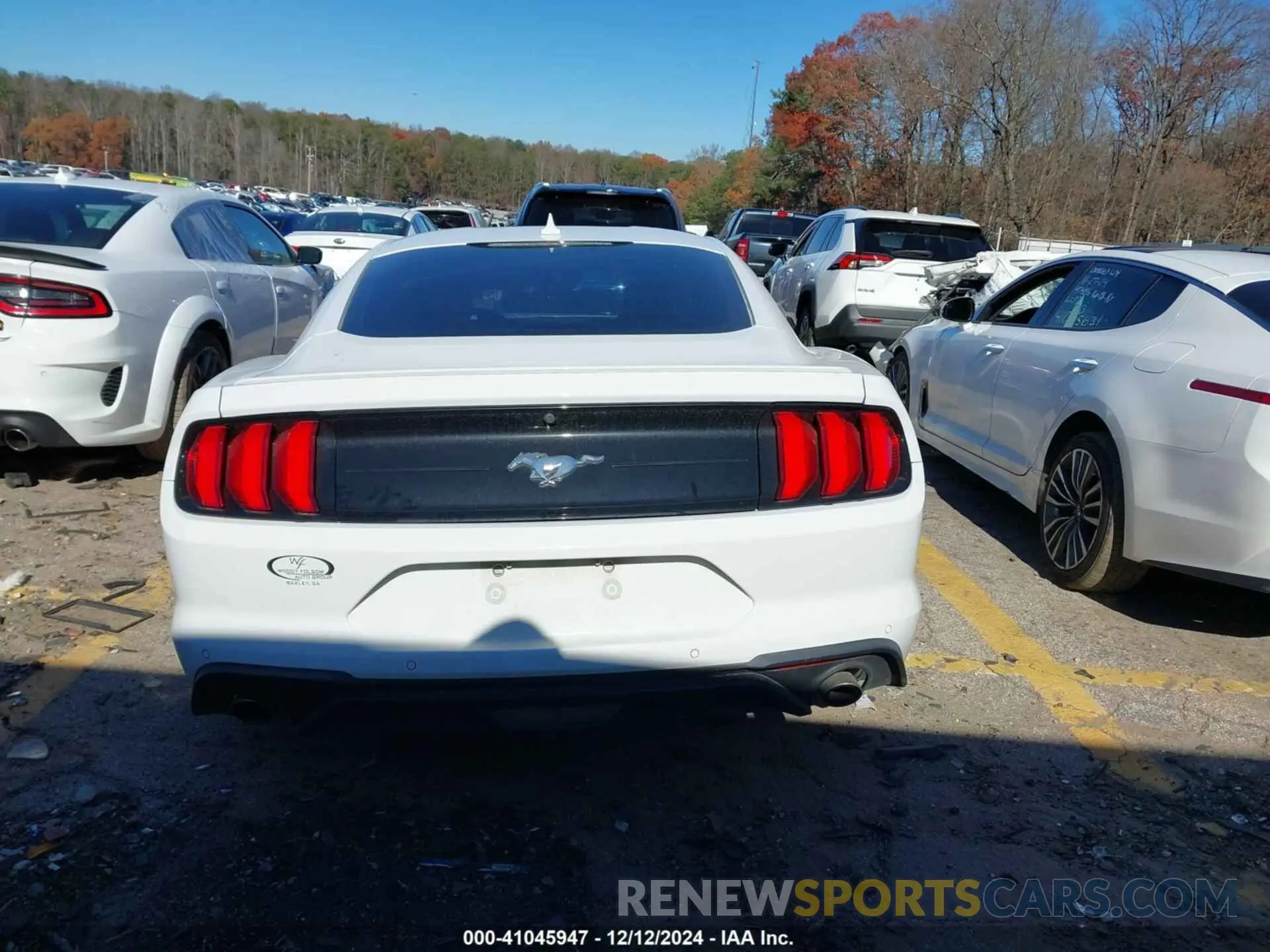 16 Photograph of a damaged car 1FA6P8TH0M5158309 FORD MUSTANG 2021
