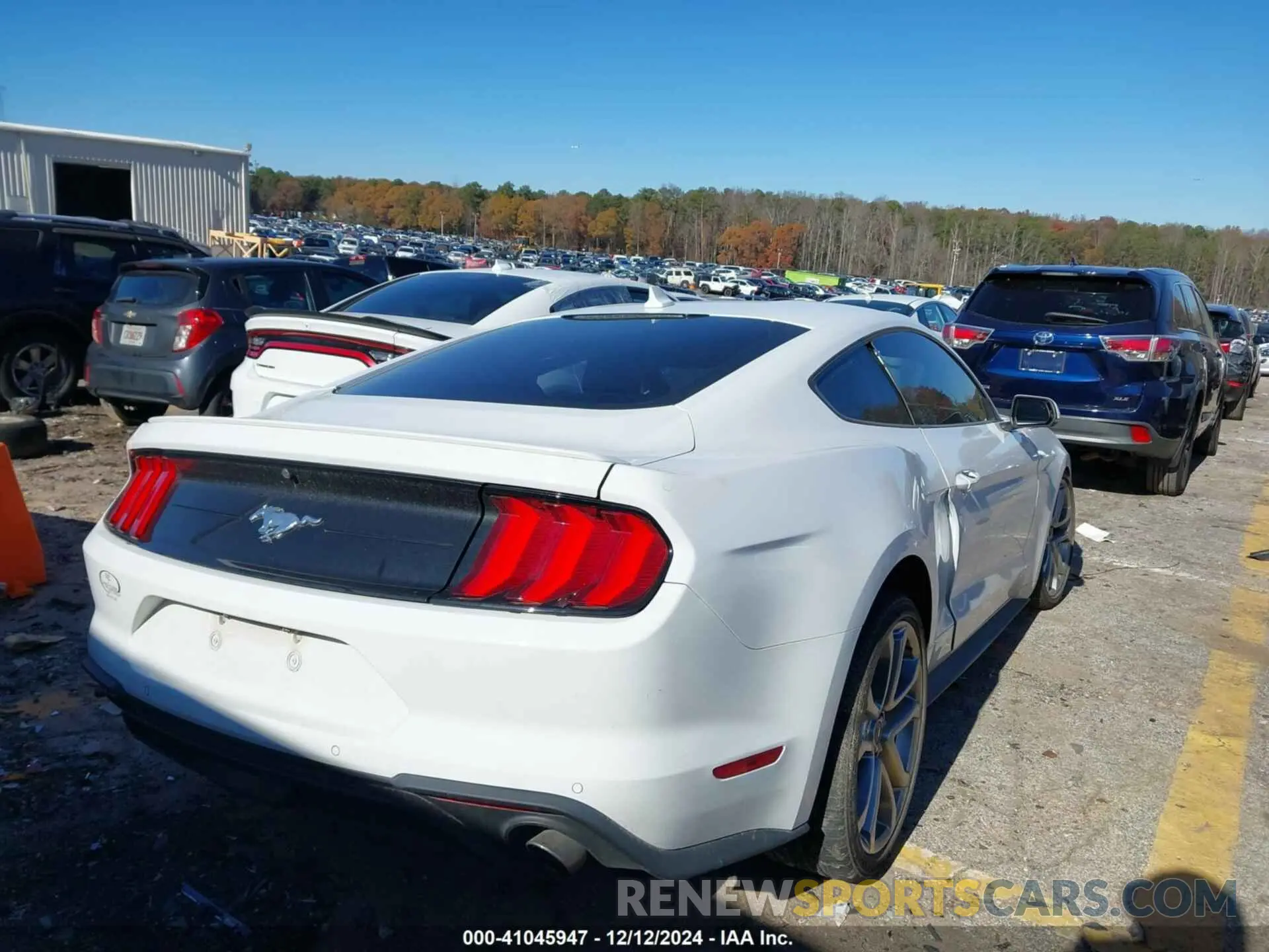 4 Photograph of a damaged car 1FA6P8TH0M5158309 FORD MUSTANG 2021