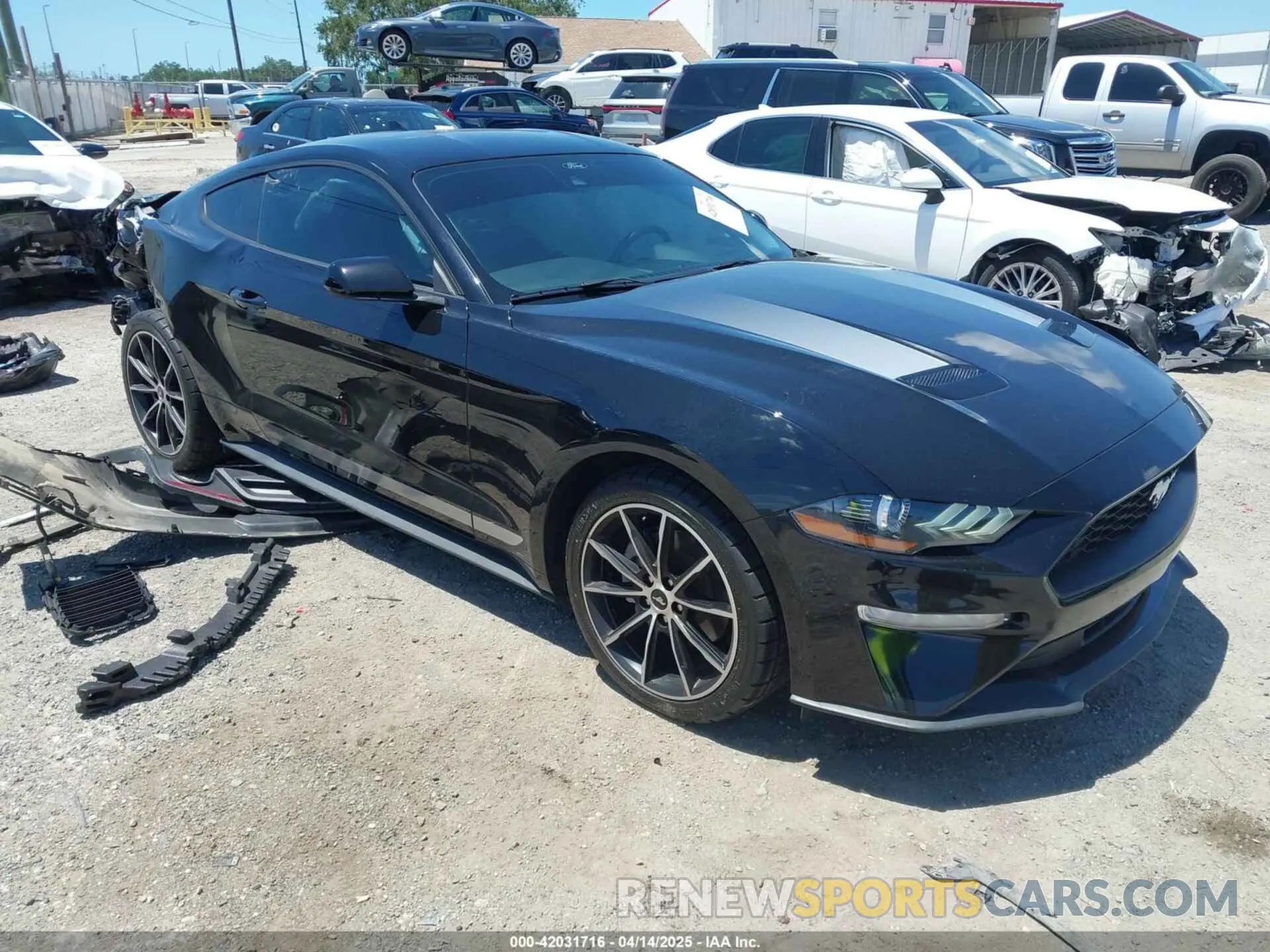 1 Photograph of a damaged car 1FA6P8TH1M5137372 FORD MUSTANG 2021