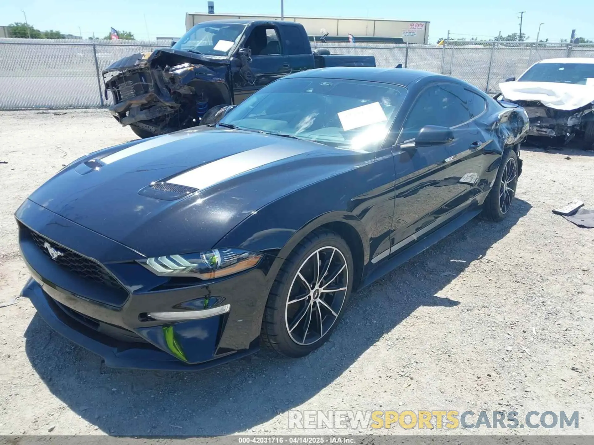 2 Photograph of a damaged car 1FA6P8TH1M5137372 FORD MUSTANG 2021