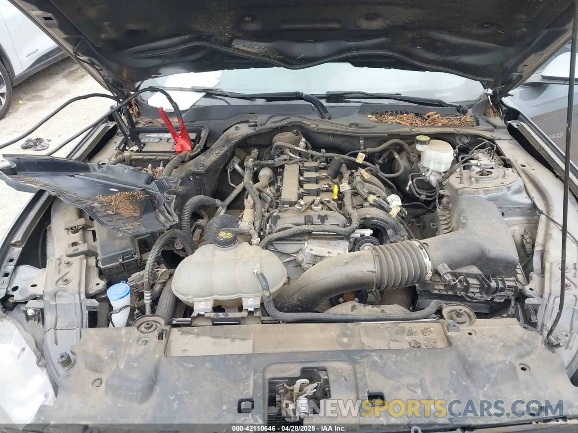 10 Photograph of a damaged car 1FA6P8TH1M5152941 FORD MUSTANG 2021