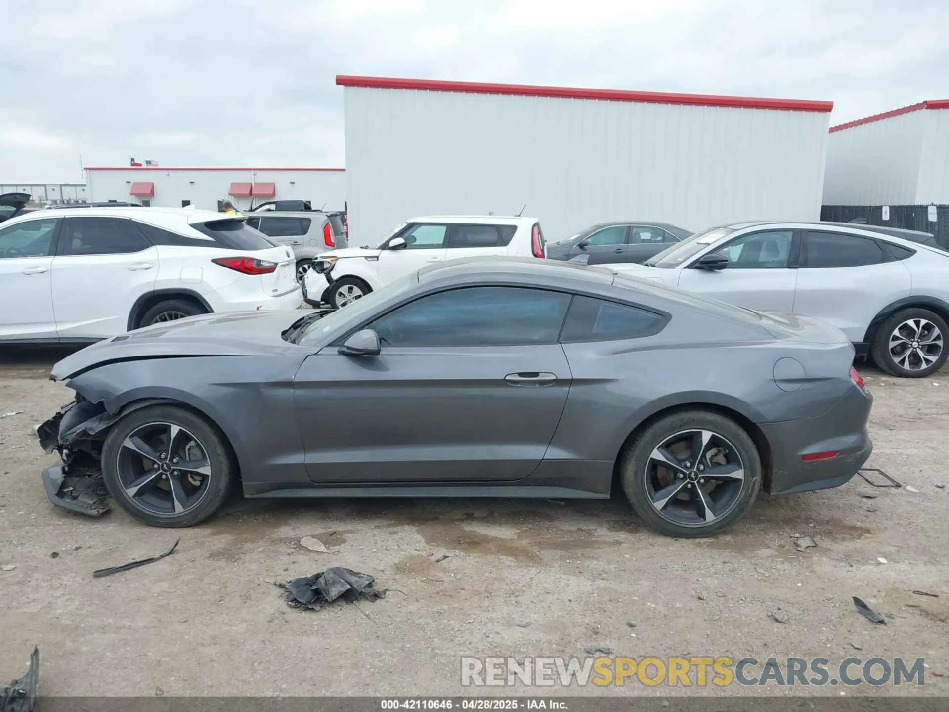 14 Photograph of a damaged car 1FA6P8TH1M5152941 FORD MUSTANG 2021