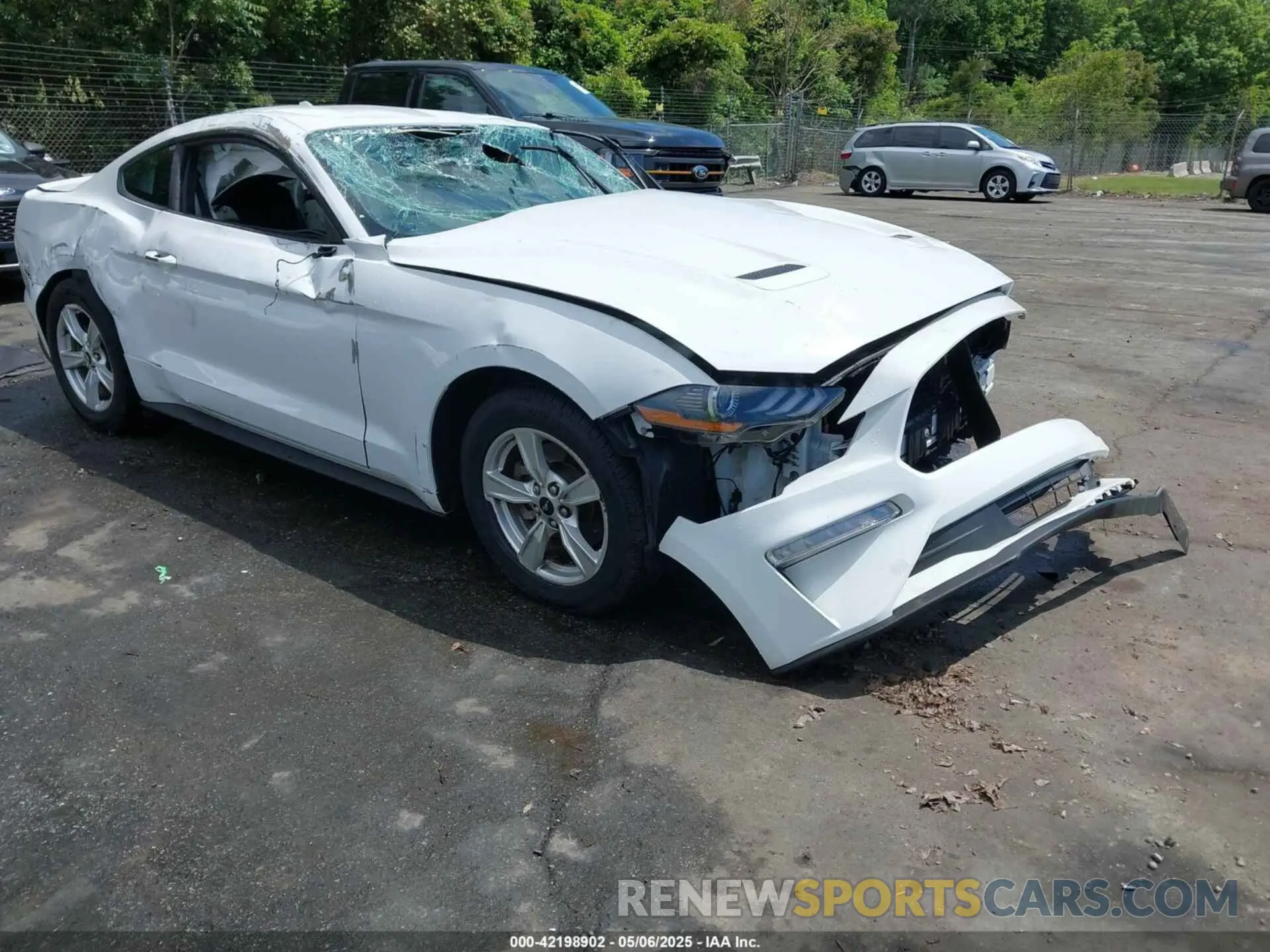 1 Photograph of a damaged car 1FA6P8TH1M5156455 FORD MUSTANG 2021
