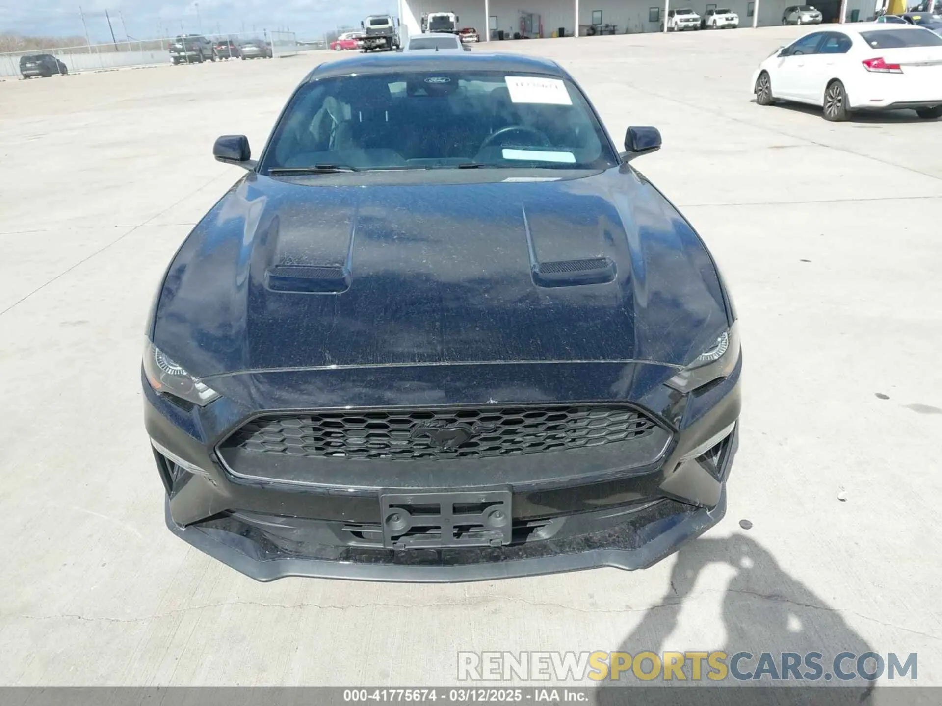 12 Photograph of a damaged car 1FA6P8TH2M5140071 FORD MUSTANG 2021