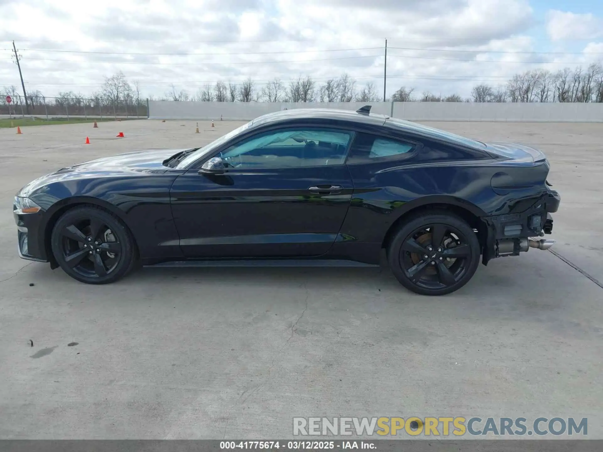 14 Photograph of a damaged car 1FA6P8TH2M5140071 FORD MUSTANG 2021