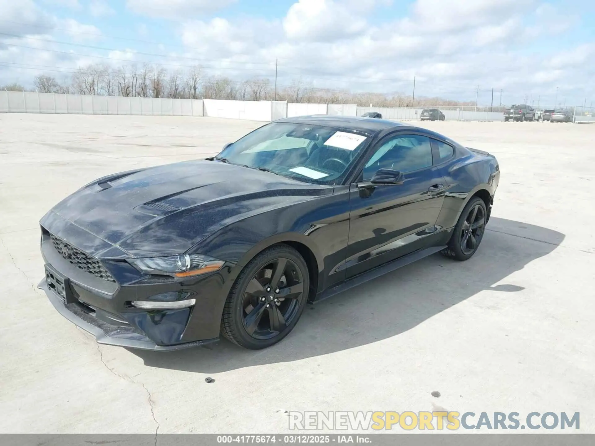 2 Photograph of a damaged car 1FA6P8TH2M5140071 FORD MUSTANG 2021