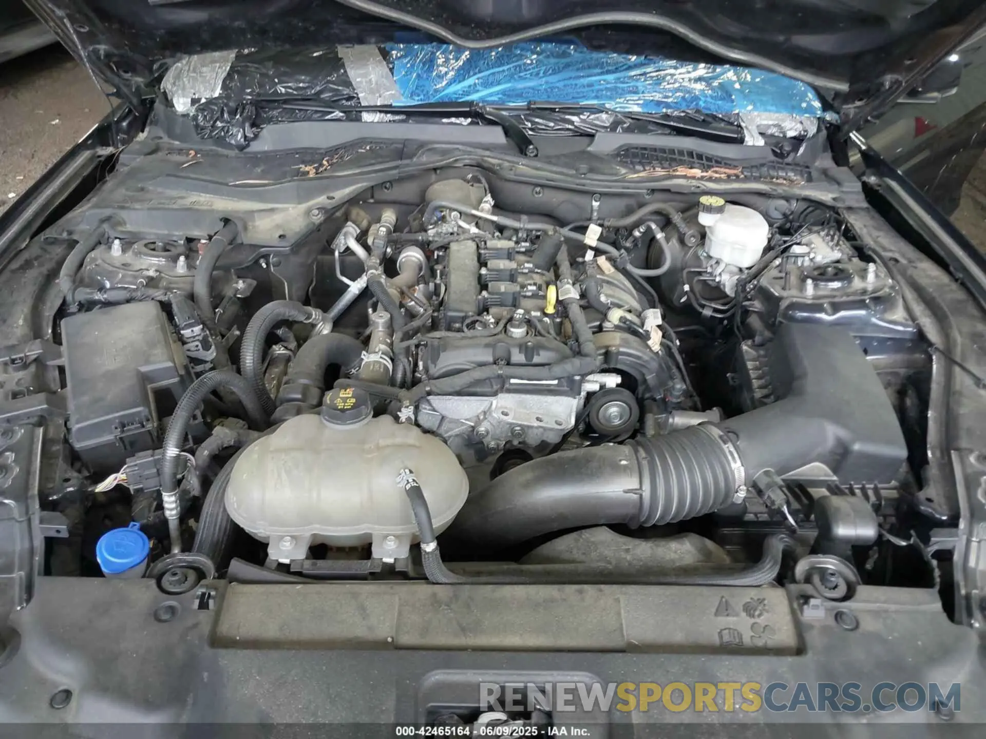 10 Photograph of a damaged car 1FA6P8TH4M5126706 FORD MUSTANG 2021