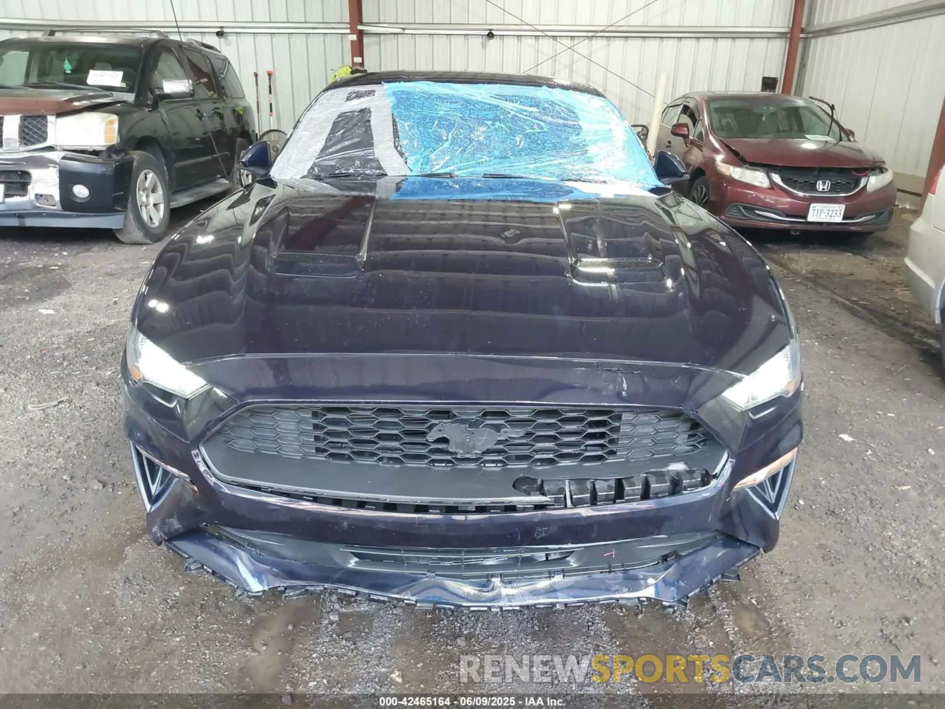 12 Photograph of a damaged car 1FA6P8TH4M5126706 FORD MUSTANG 2021