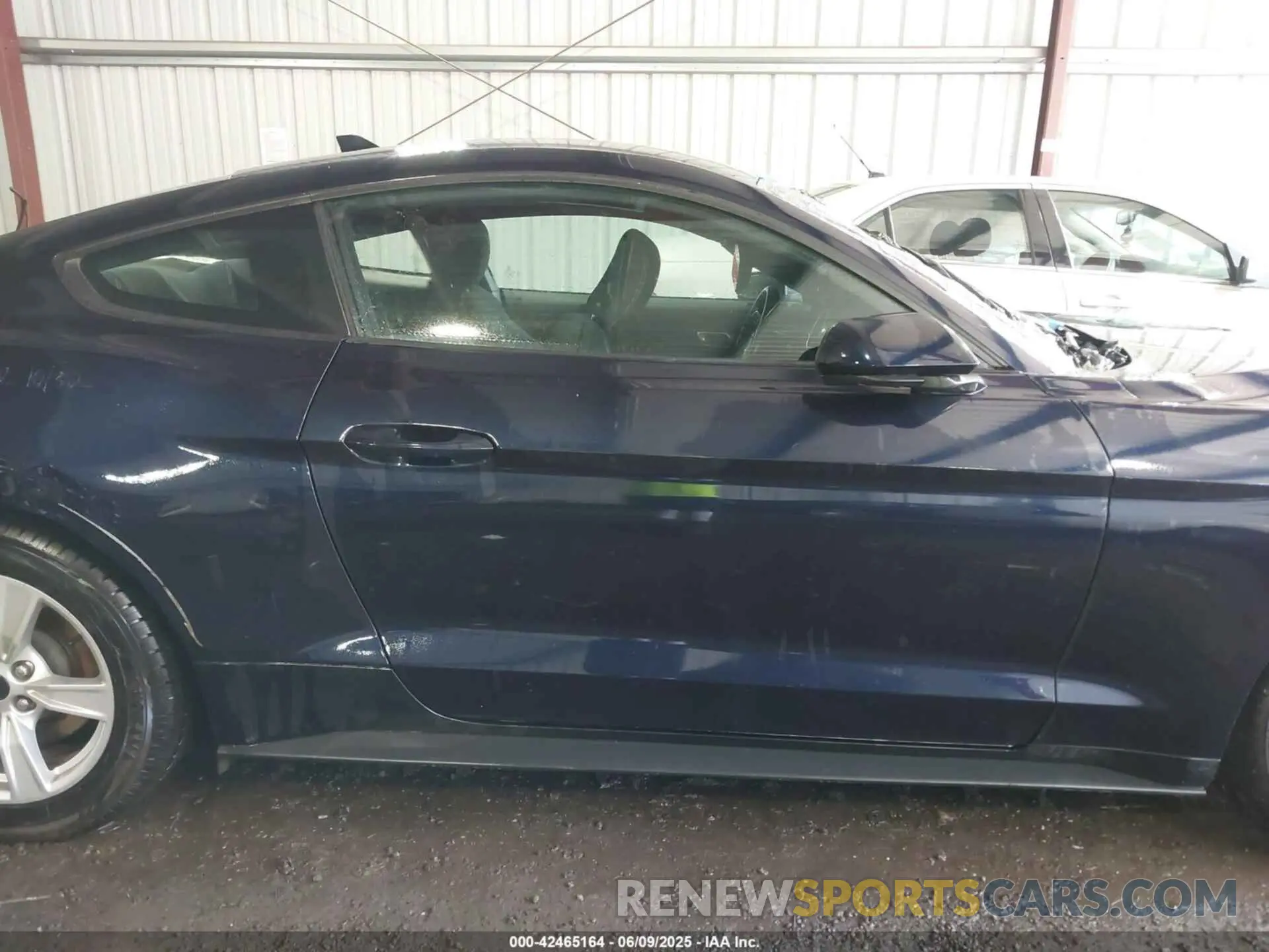 13 Photograph of a damaged car 1FA6P8TH4M5126706 FORD MUSTANG 2021