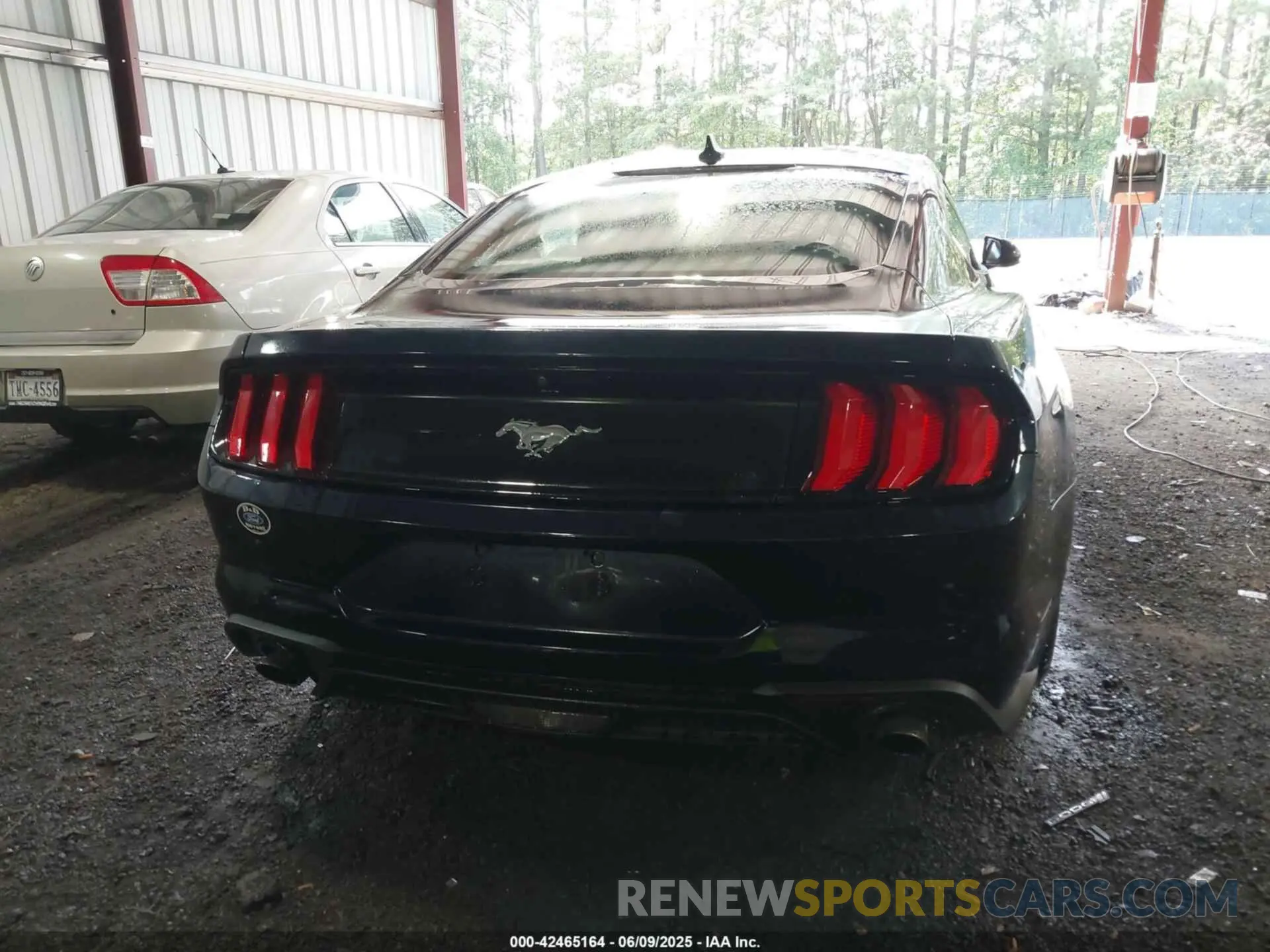 16 Photograph of a damaged car 1FA6P8TH4M5126706 FORD MUSTANG 2021